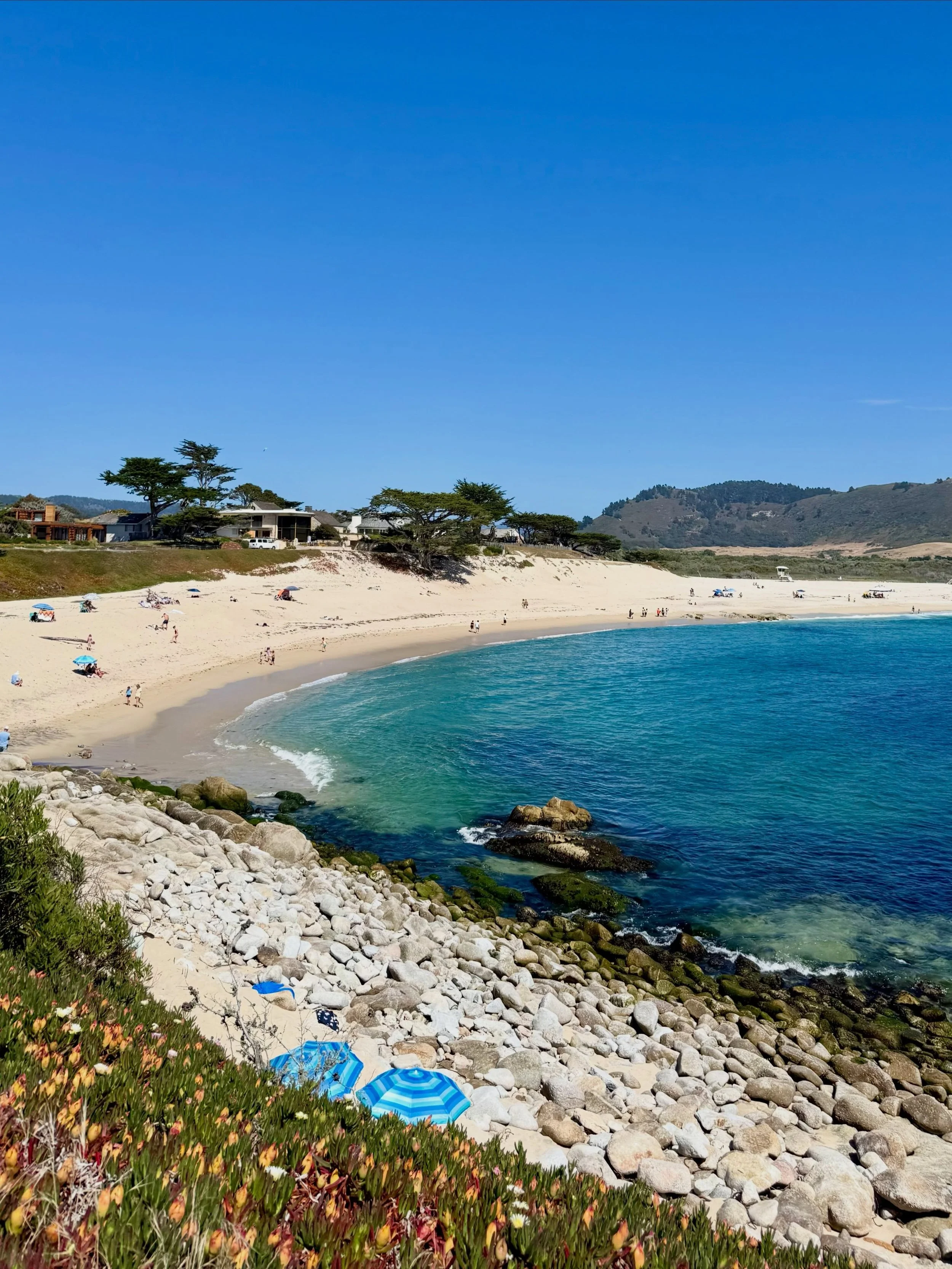 Summer in Carmel by the Sea. 🌊 ☀️#carmelbythesea