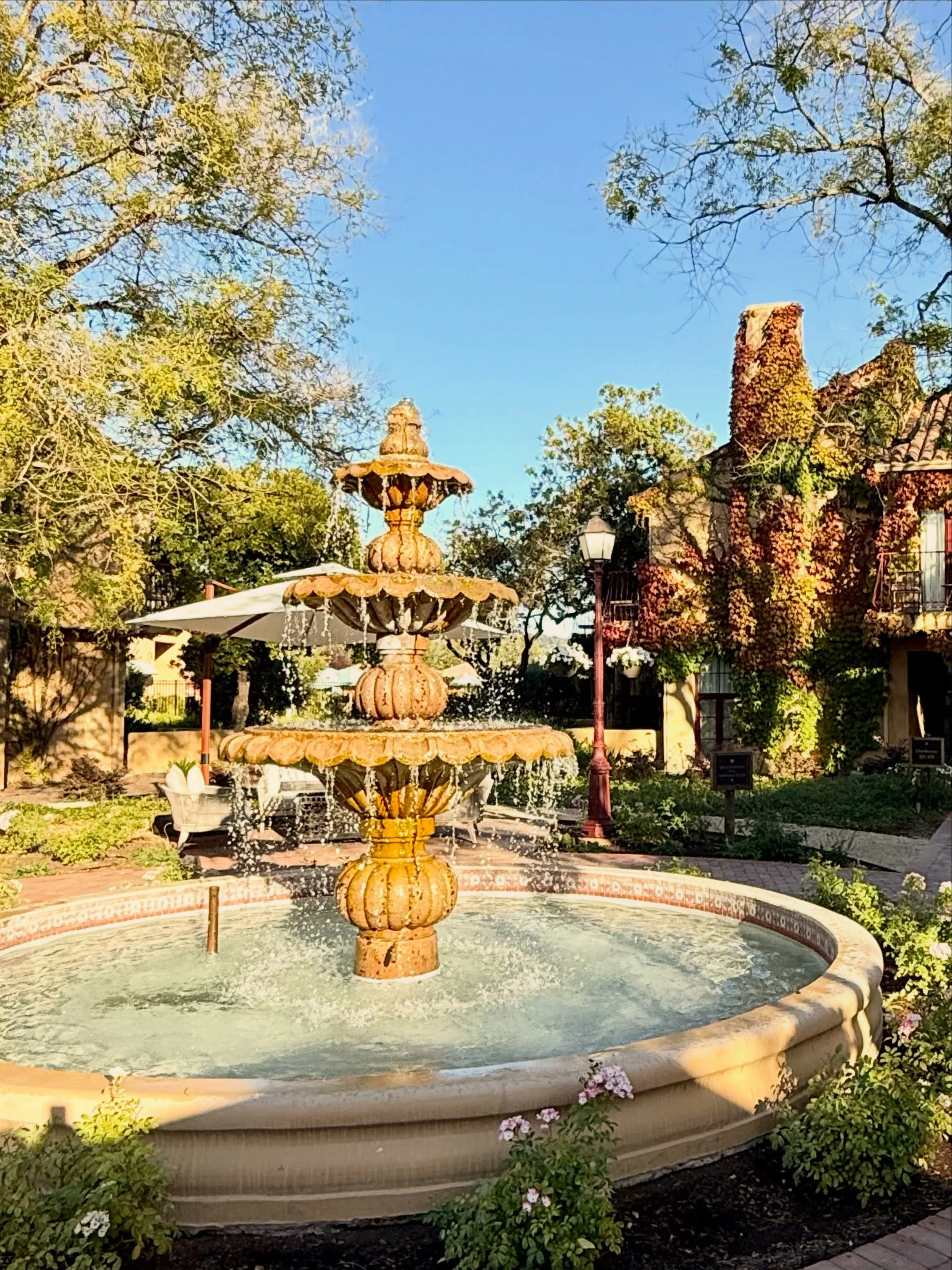 Autumn blooms during our stay at charming Vinarosa. 🍂🍁We were delighted to enjoy the hospitality in preparation for the @preferredhotels event the following day. Vinarosa is Sonoma&rsquo;s first luxury resort on a working vineyard, blending elevate