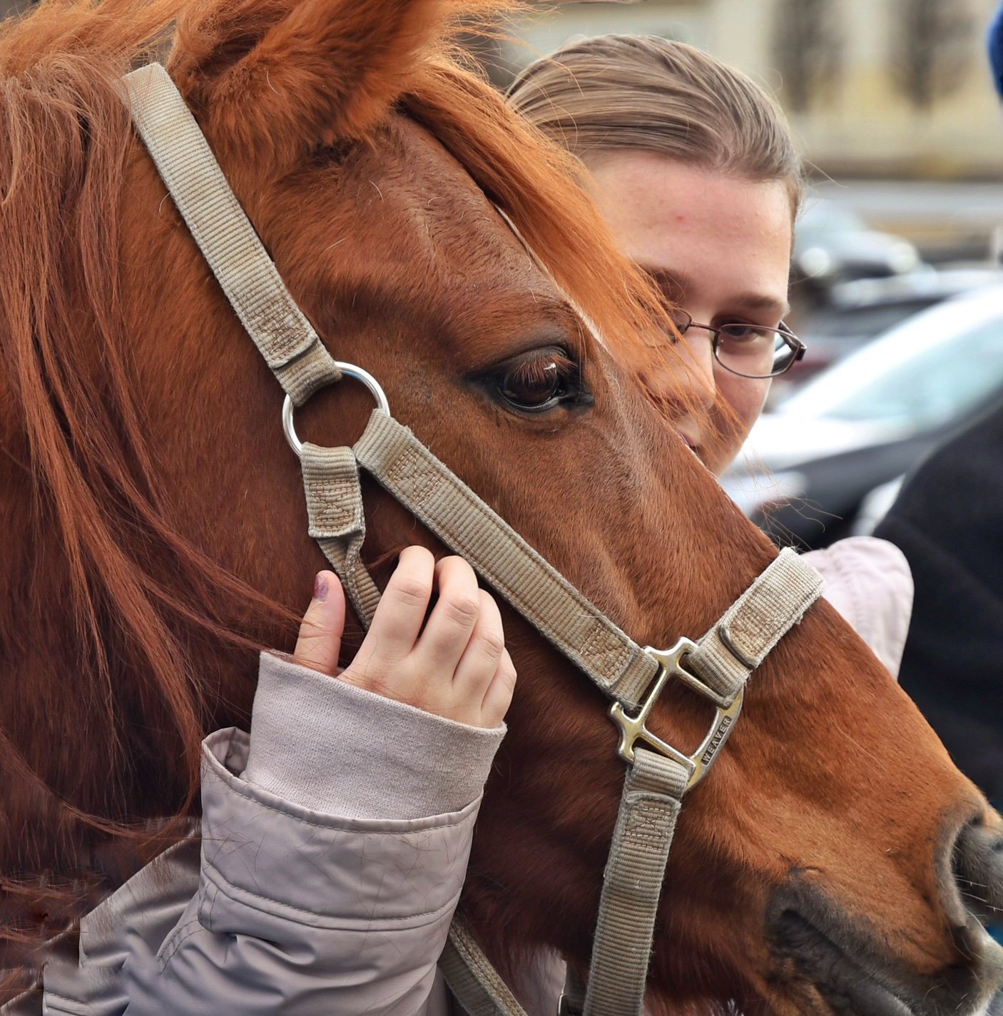 Mother's Day Hug-a-Horse