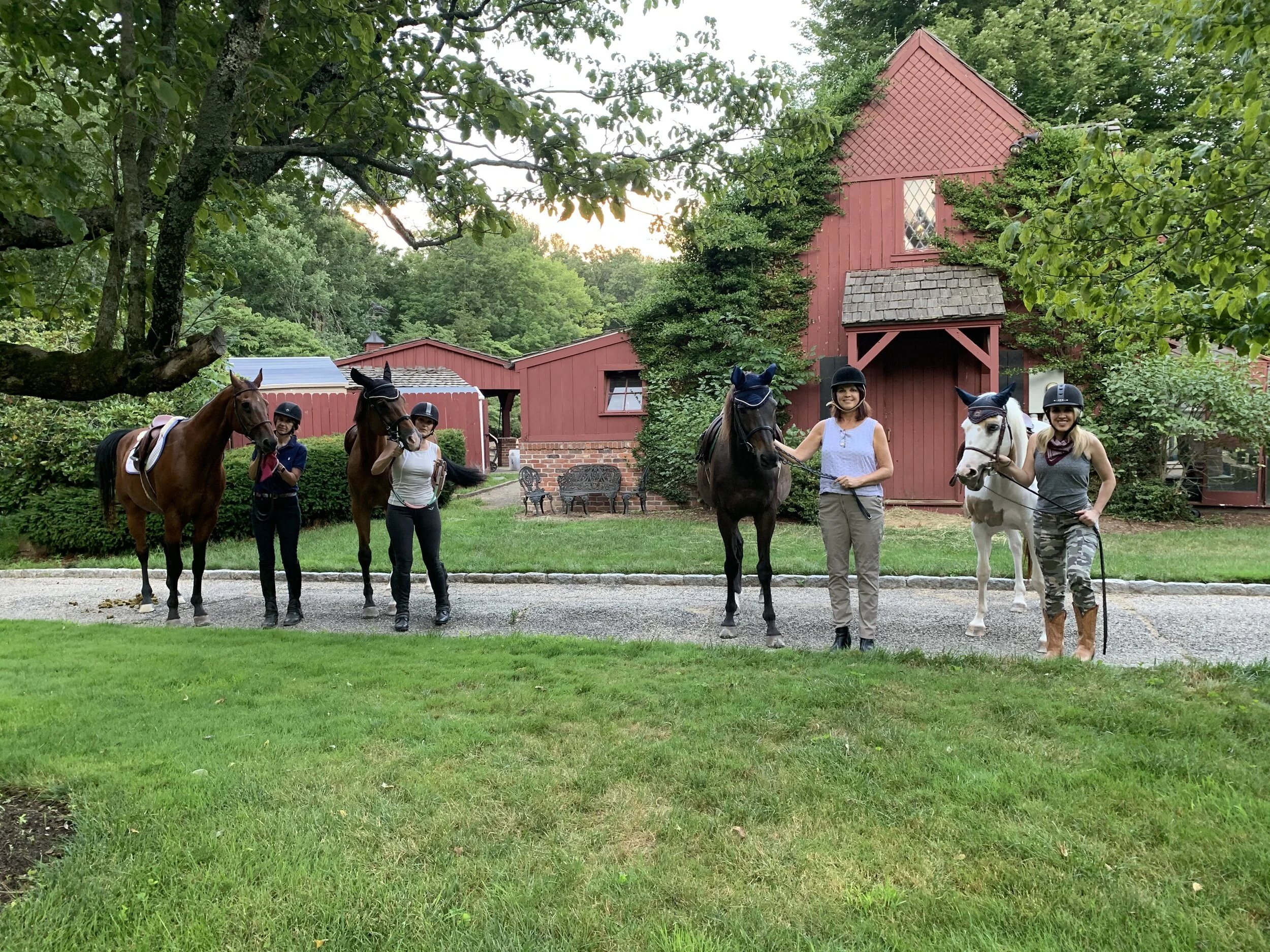 Adult Horse riding lessons — US Horse Welfare and Rescue