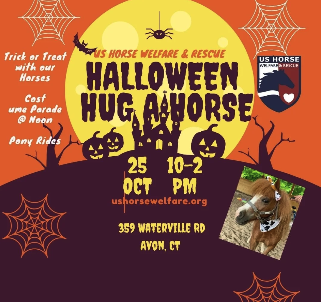 Halloween Hug-a-Horse 2025