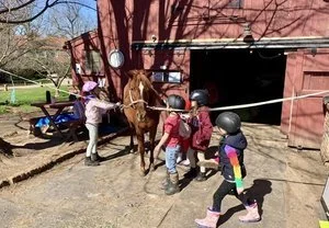 Barn Buddies Spring Season starts