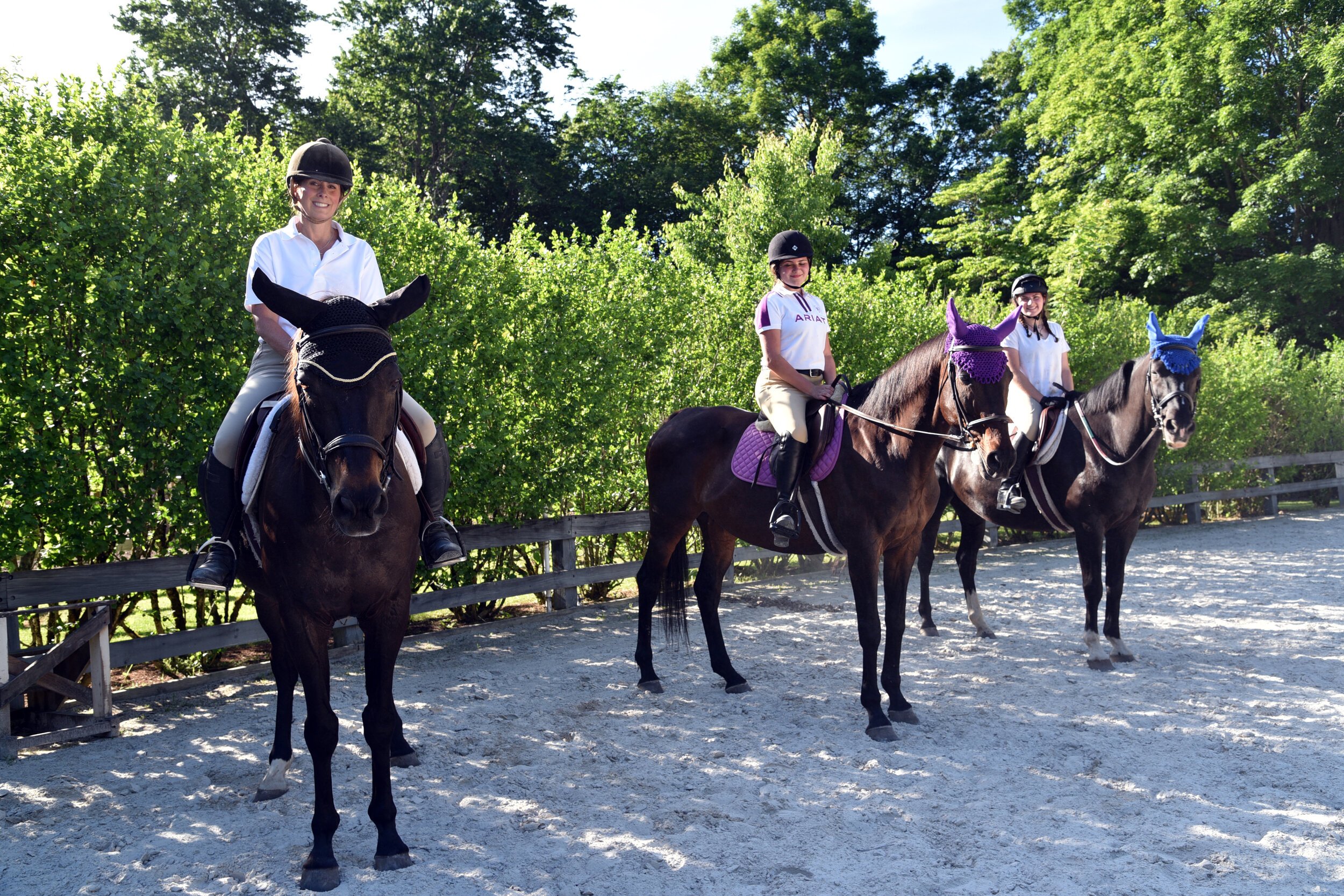 Equestrian Academy Summer Intersession