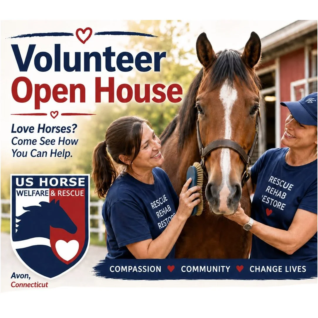 Volunteer Open Houses