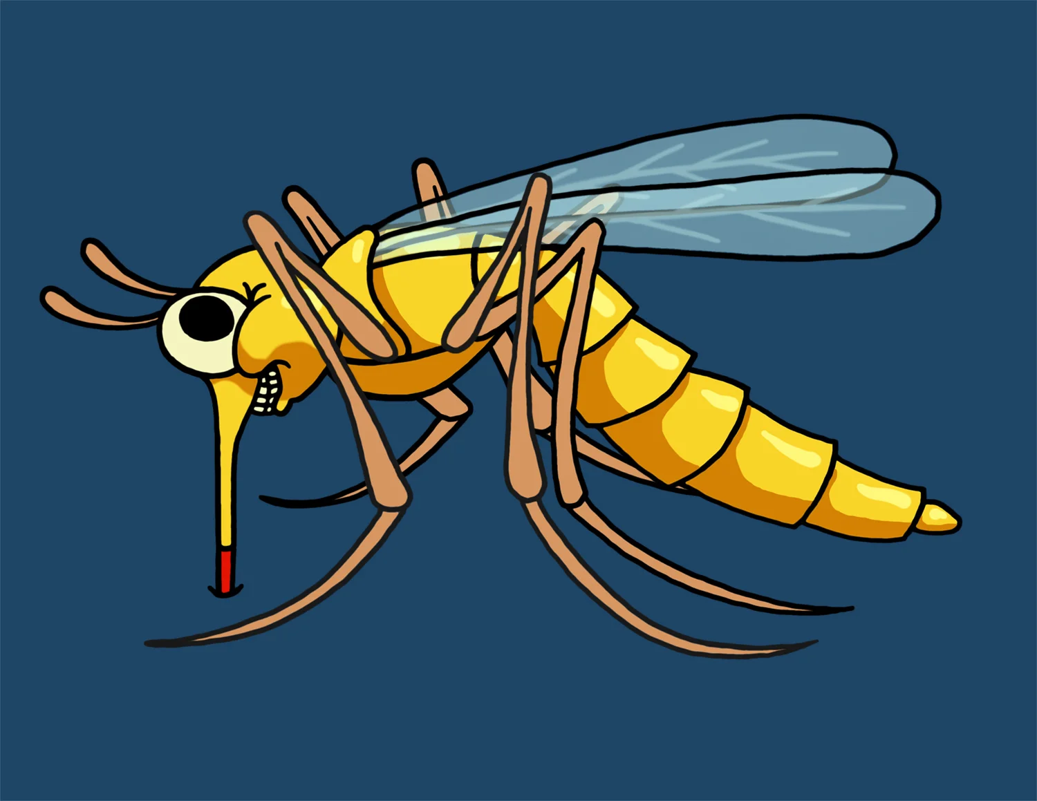 Skeeter
