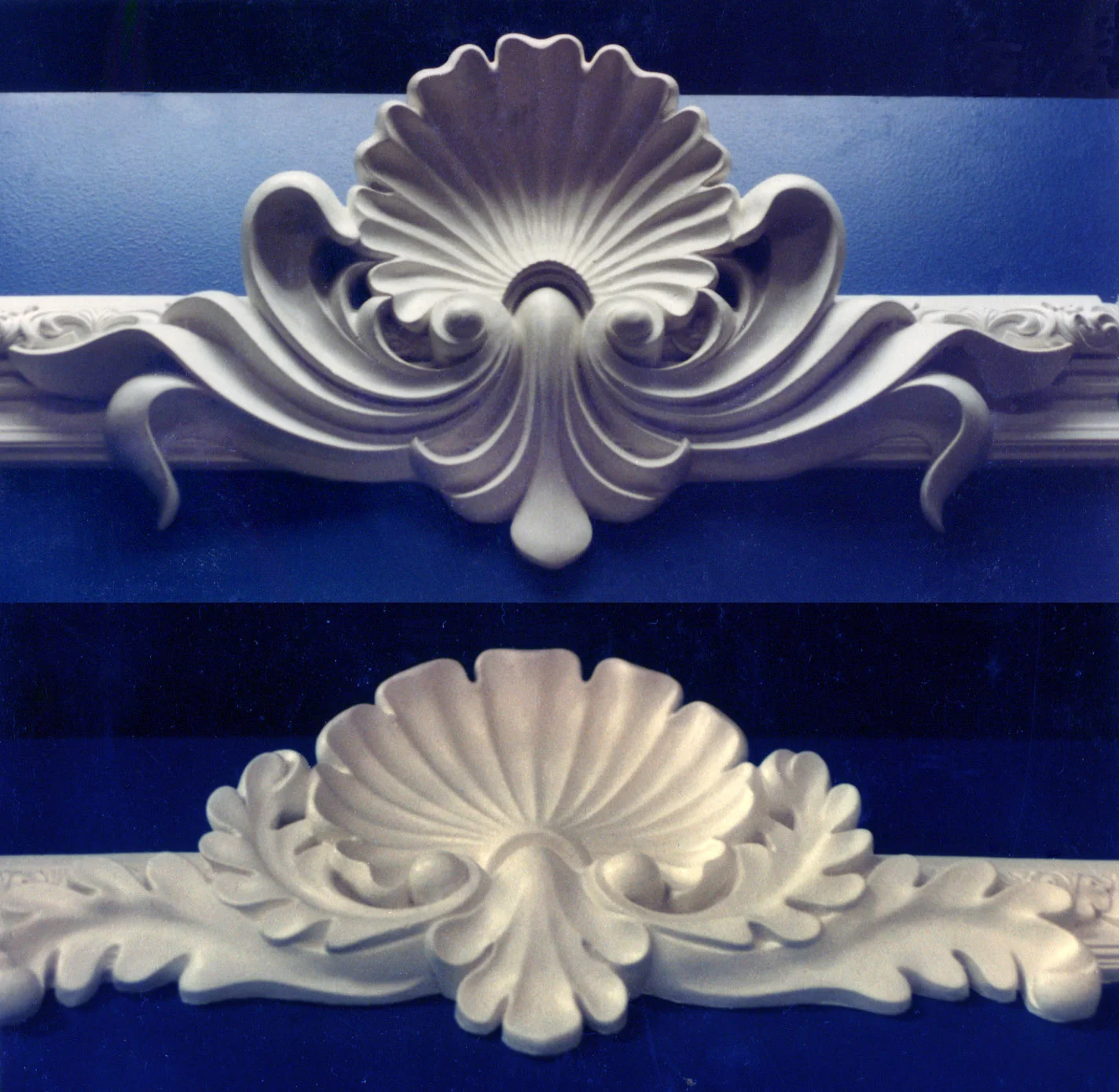 Two Scallop Shell Motifs