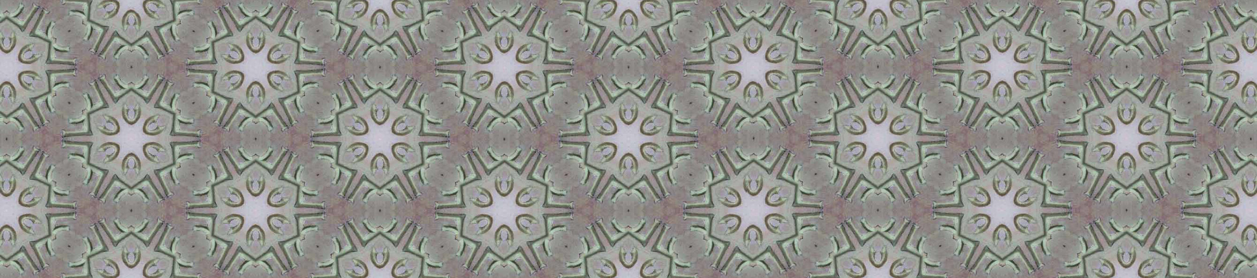 Okra_PatternBanner.jpg