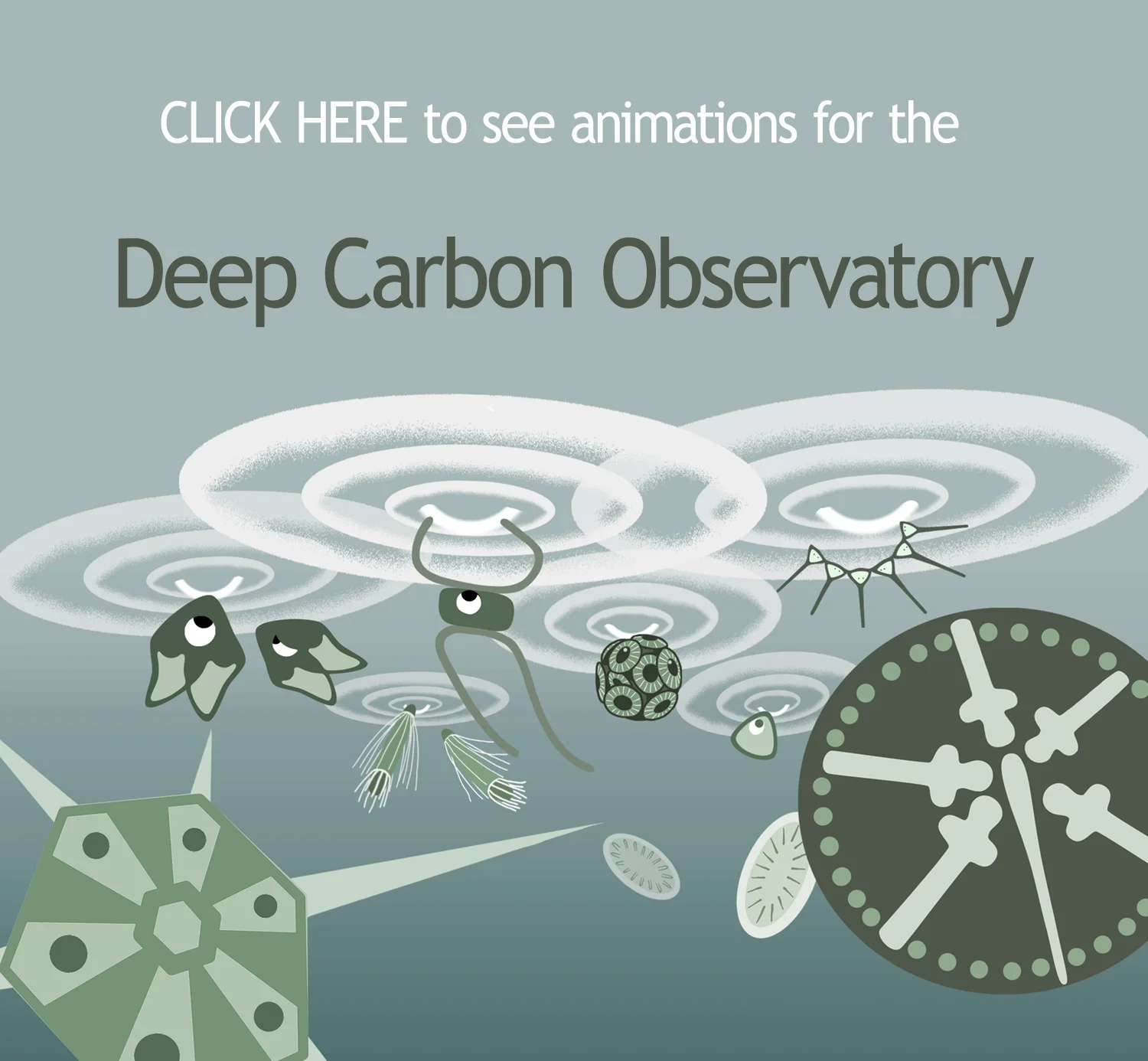 Deep Carbon Observatory video link