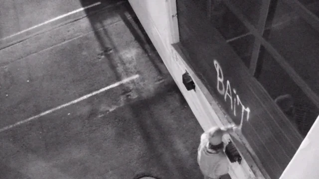 OHM SURVEILLANCE SYSTEM CATCHES VANDAL RED HANDED!