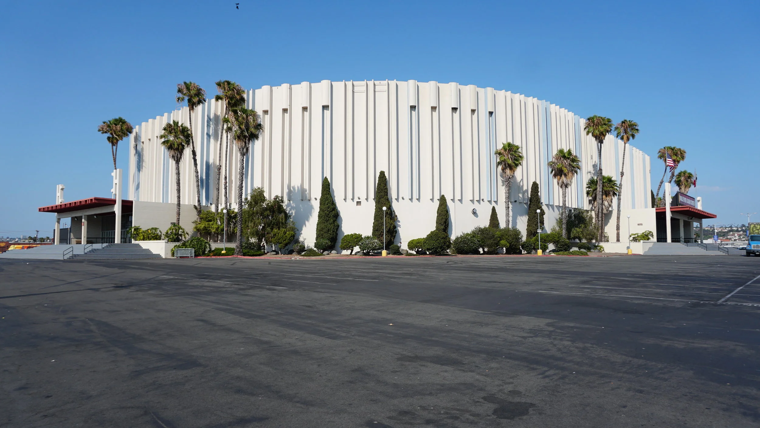 San Diego Seals Soon to Surface