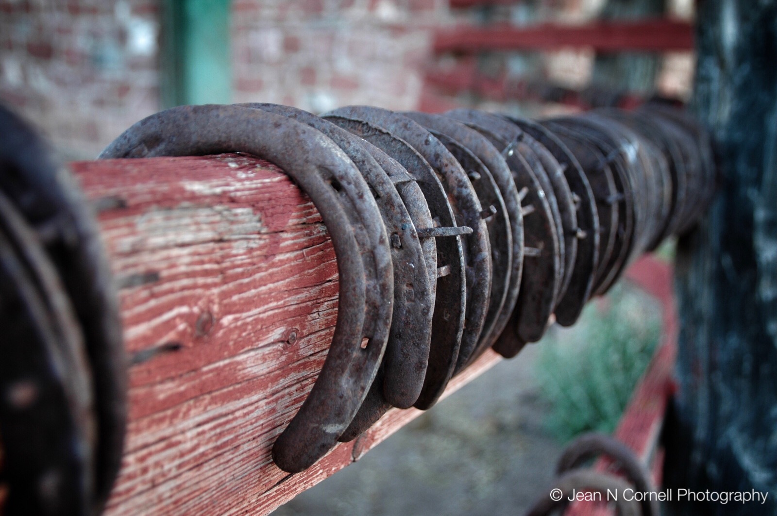 horseshoes