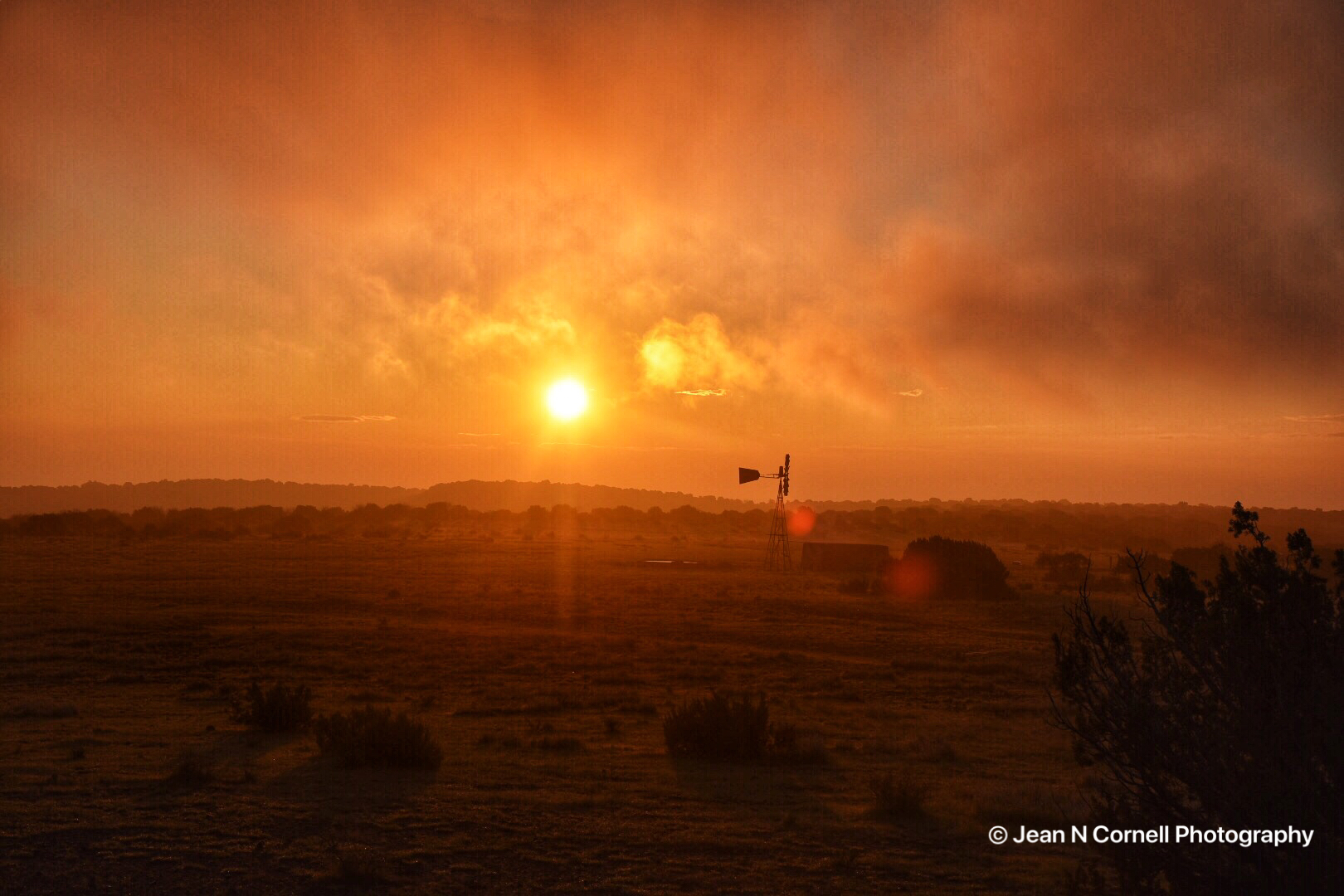 morning windmill