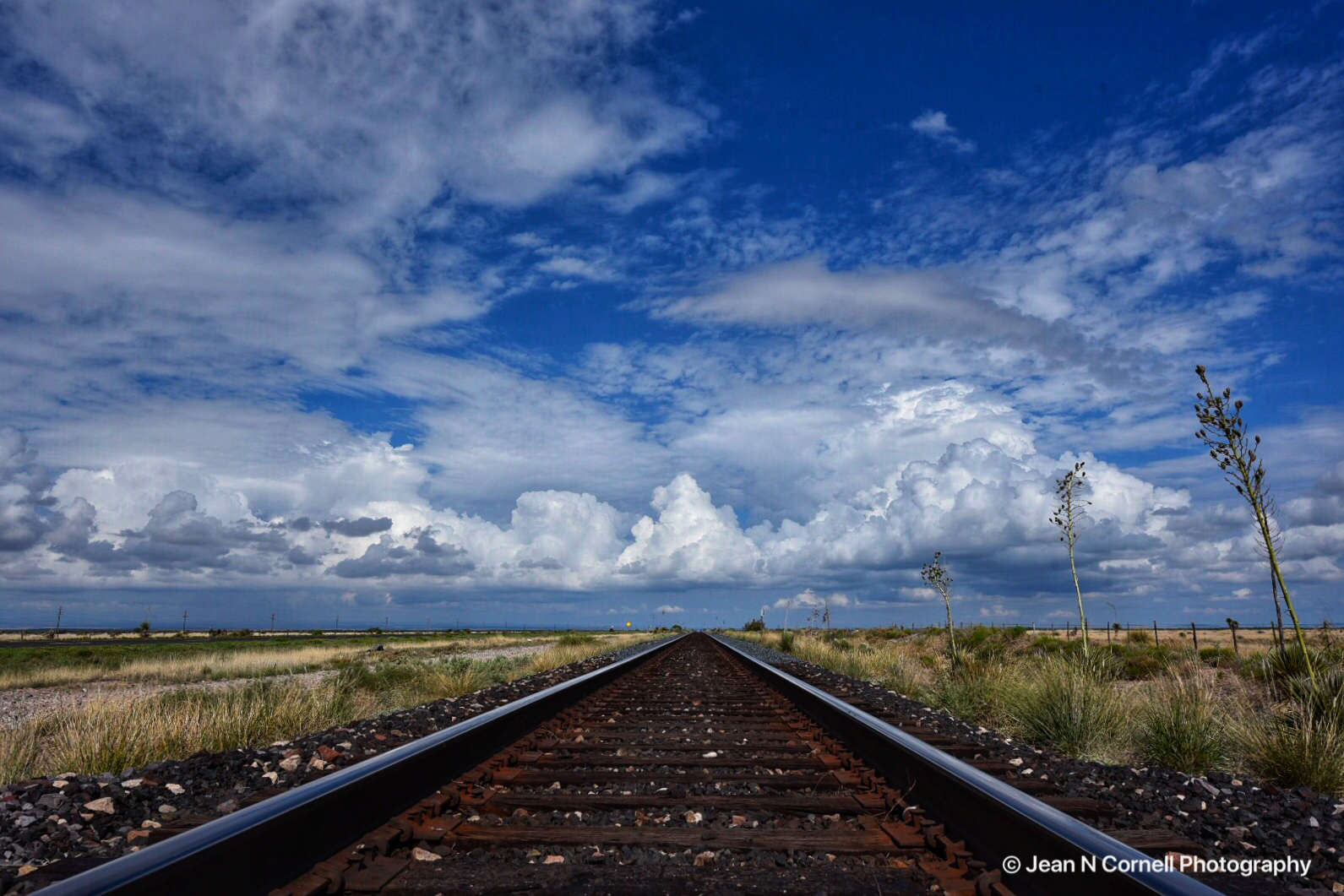 railroad #2