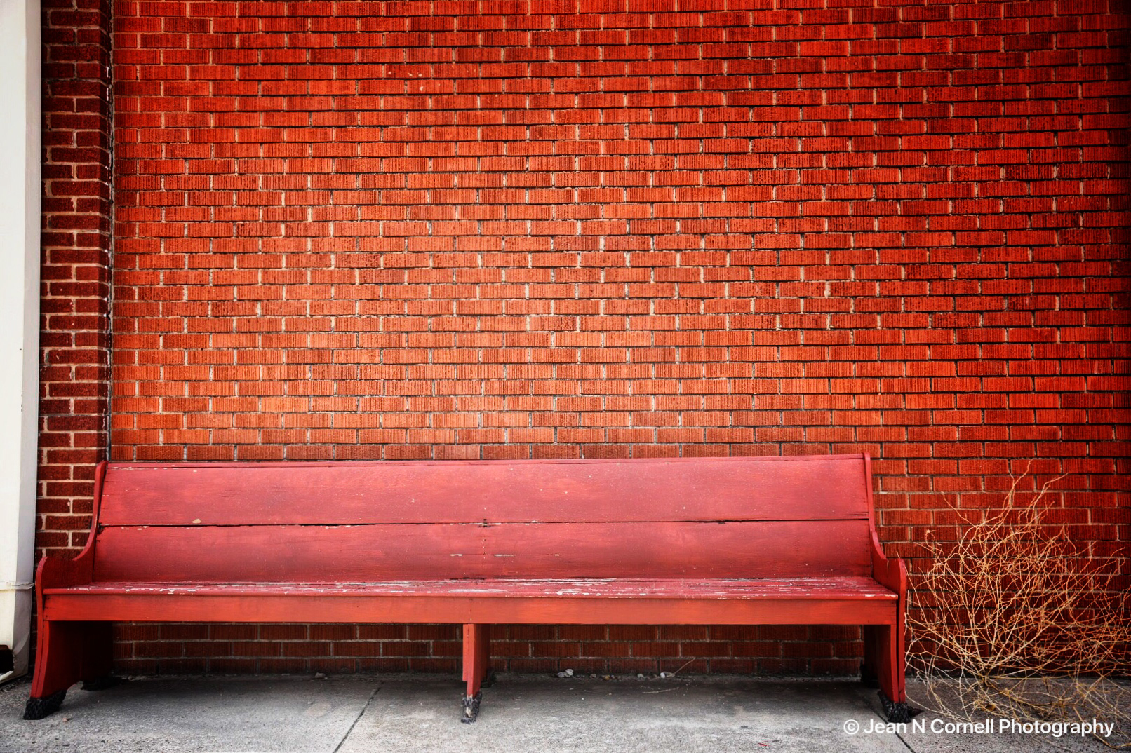 red bench