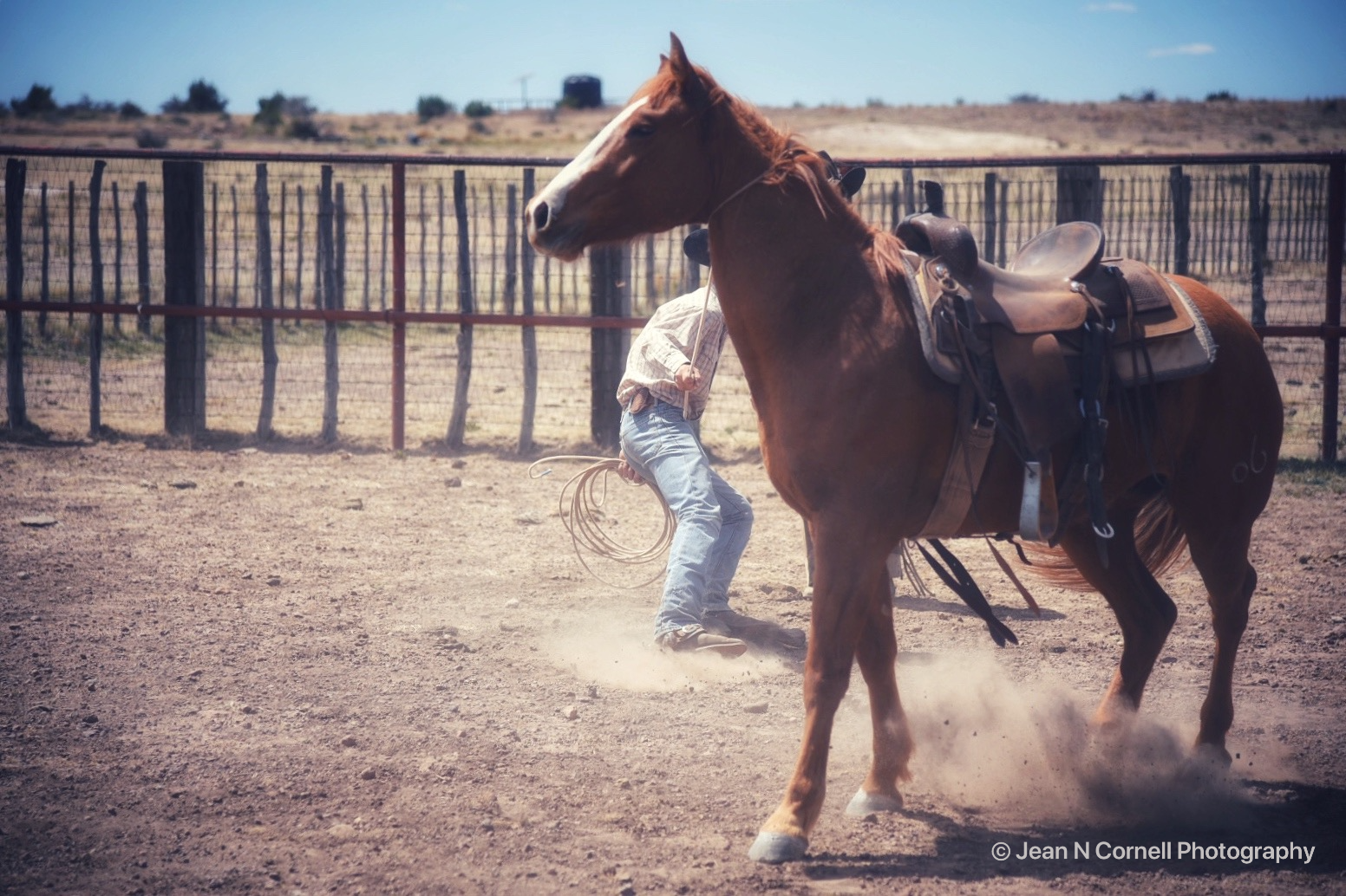 hold your horse(s)