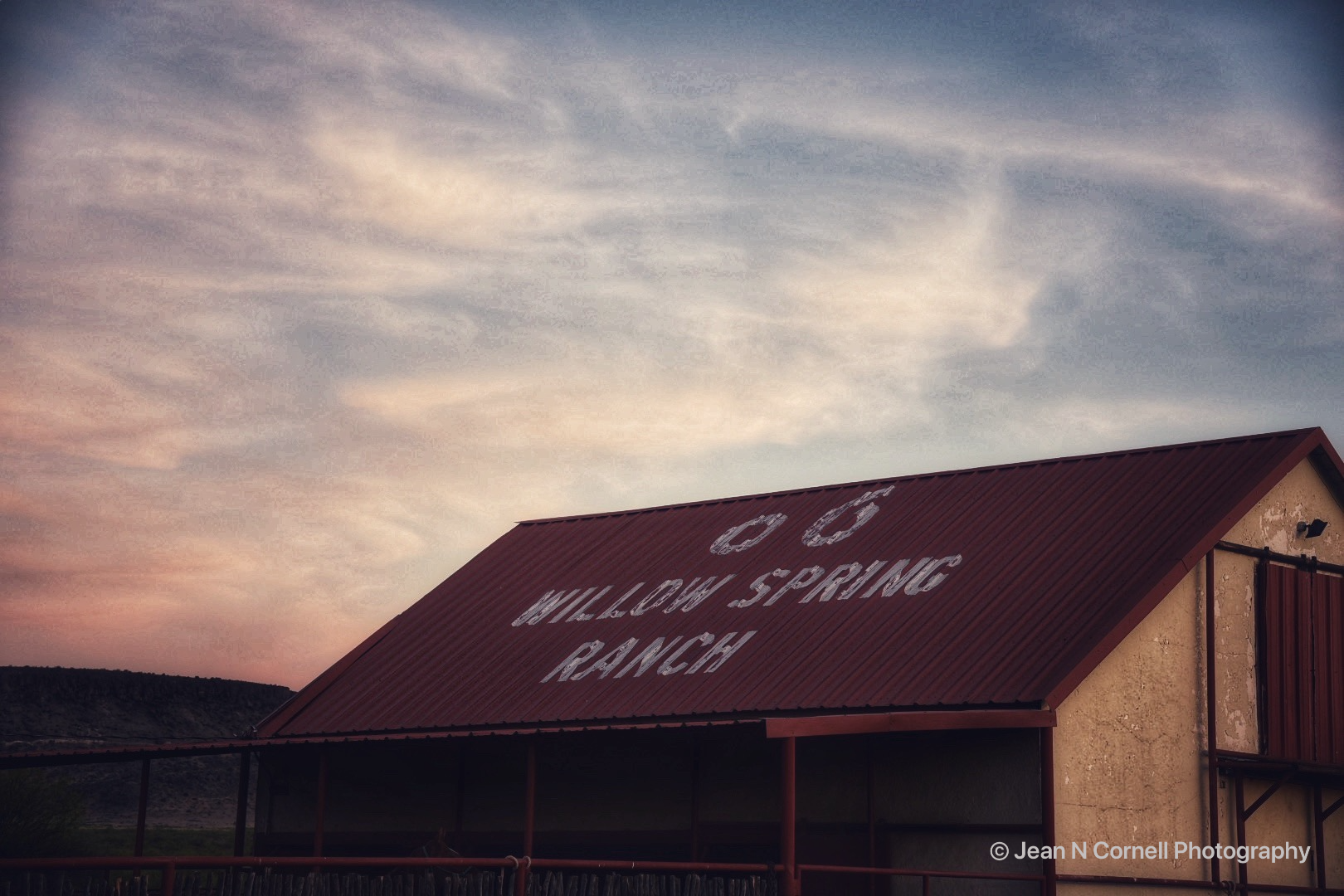willow spring morning