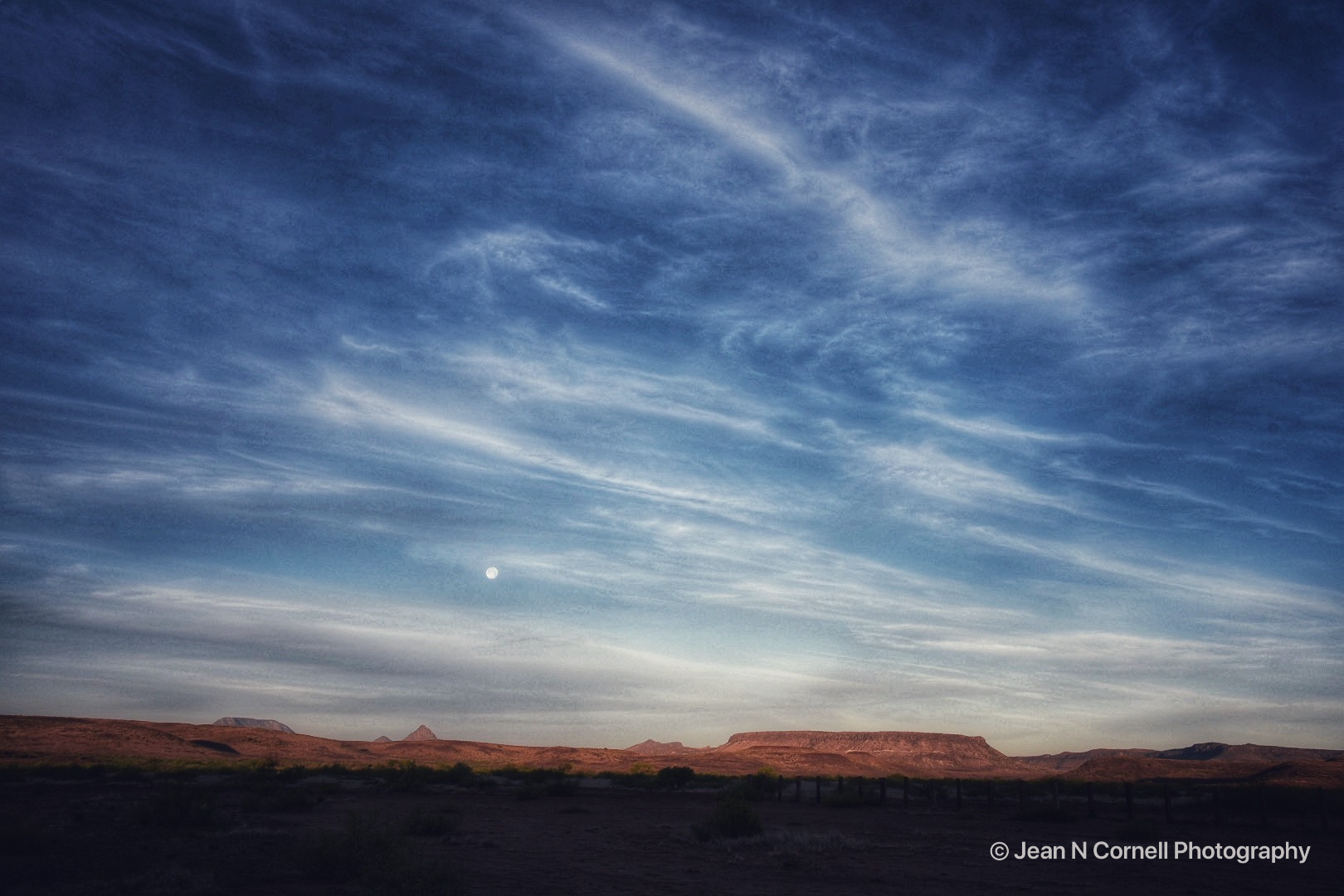 morning moon