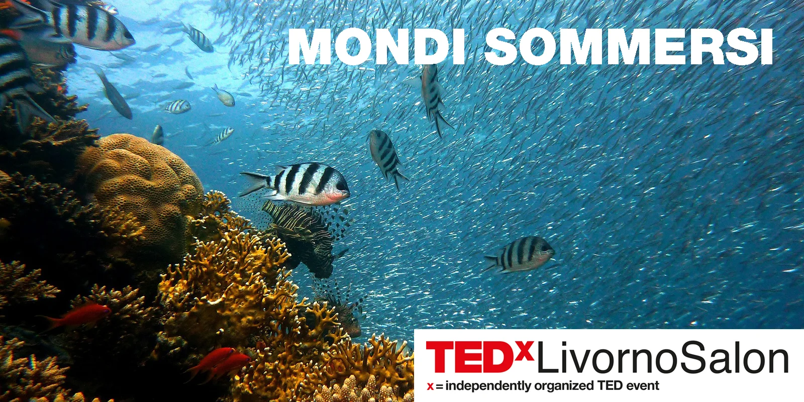 Cover-TEDxLS5.jpg