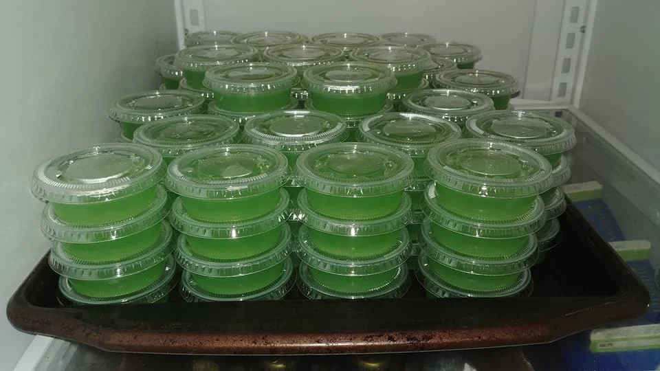 We made a lot of jello shots (and by "we" I mean Nacho, lord of Jello Shots). Make sure you look for the guy with 9 1/2 digits and scream "give me a Jell-O Shot Nacho" when we roll by...