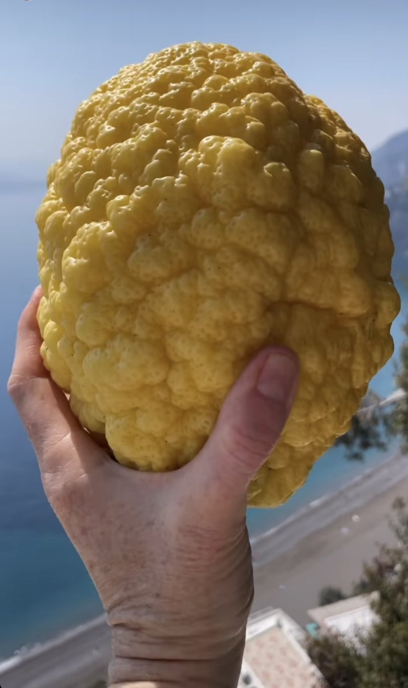 Now that's a bread lemon!