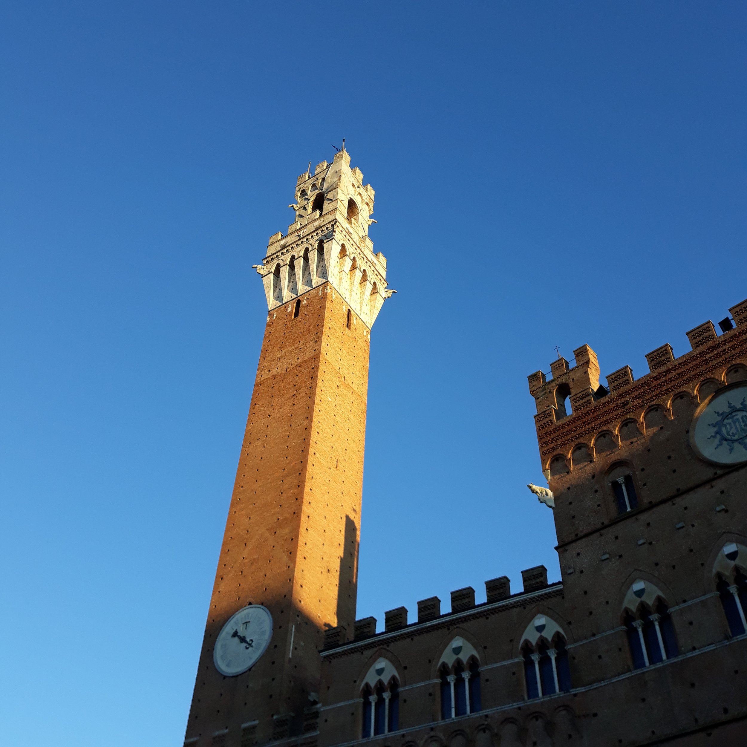 Torre del Mangia