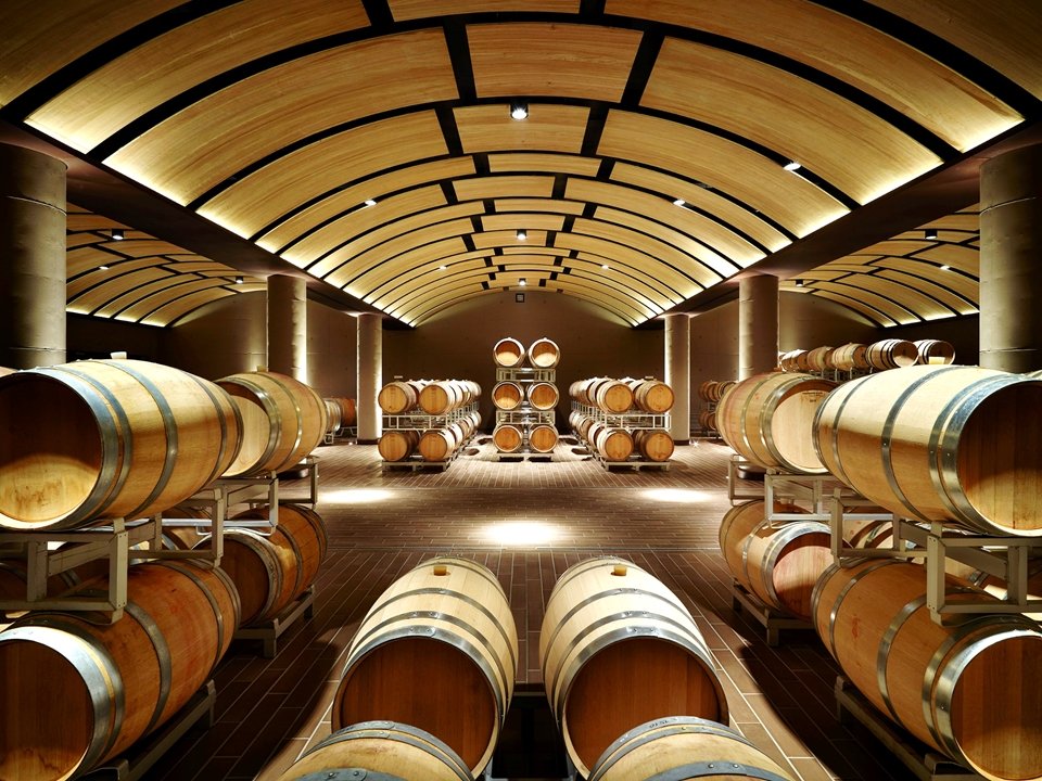 MonteRosola wine cellar
