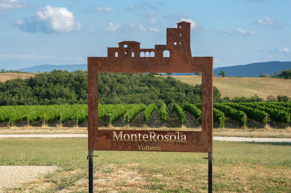 MonteRosola sign in front of vineyards.png