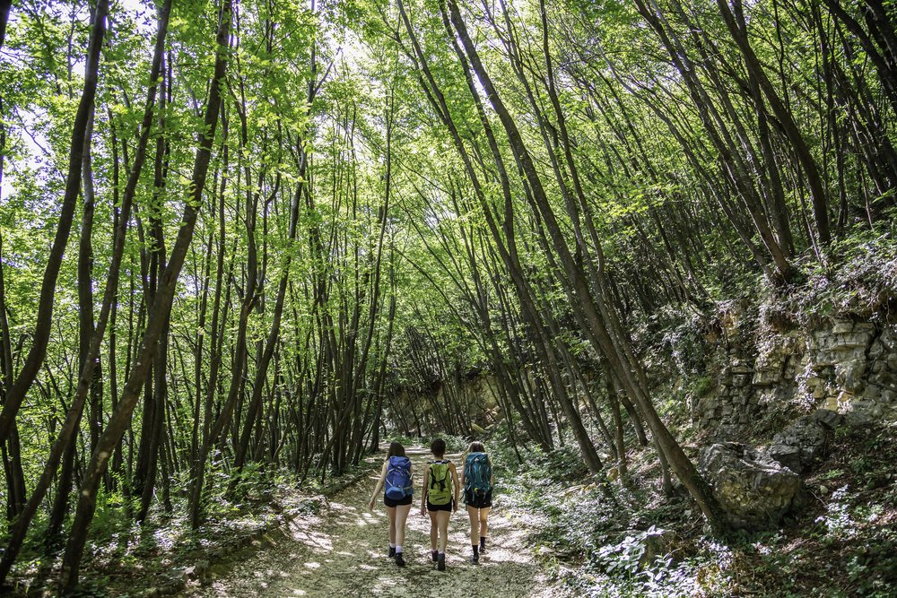 Parco delle Colline_ph Alessio Guitti.jpg