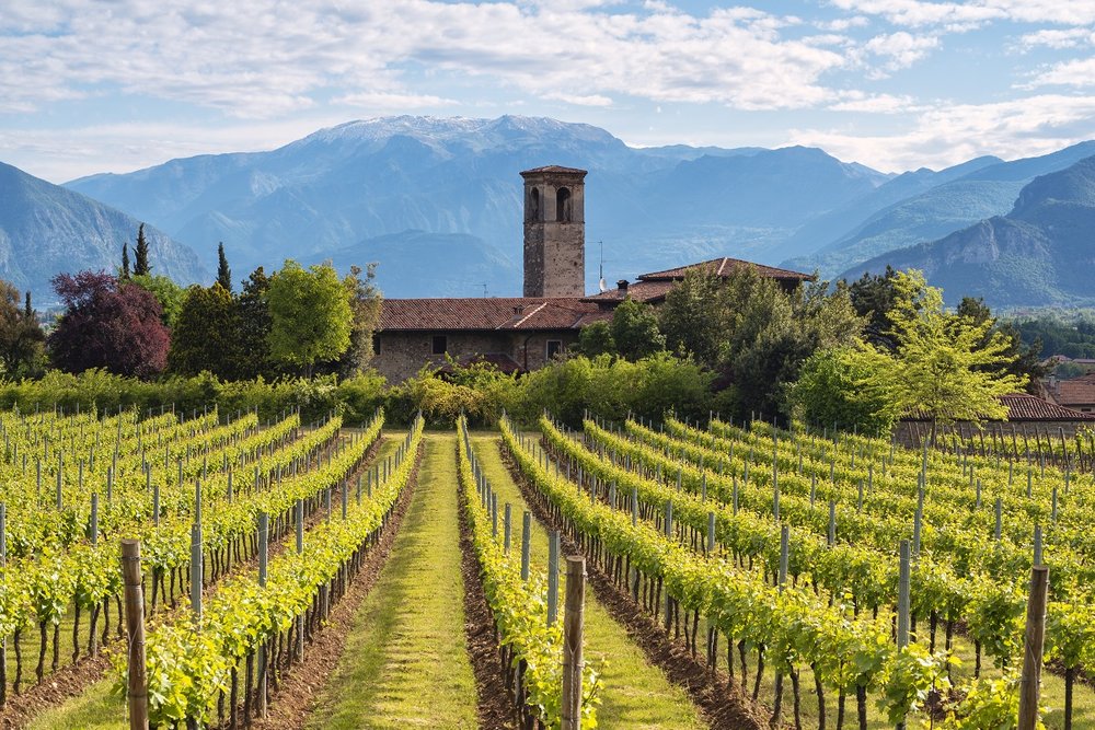 Franciacorta-vigneti-panorama-ph-m-rossetti.jpg