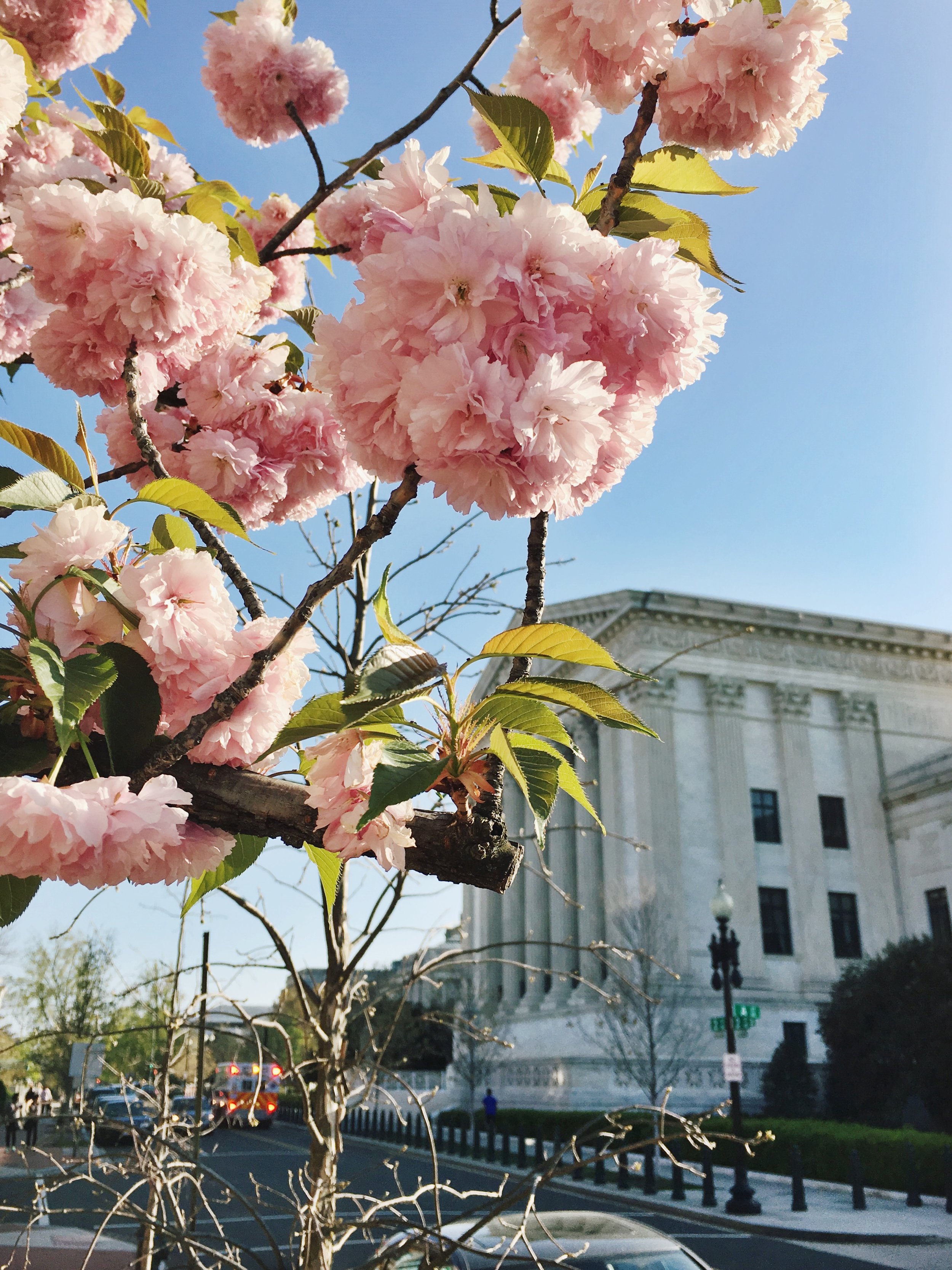 Washington, District of Columbia