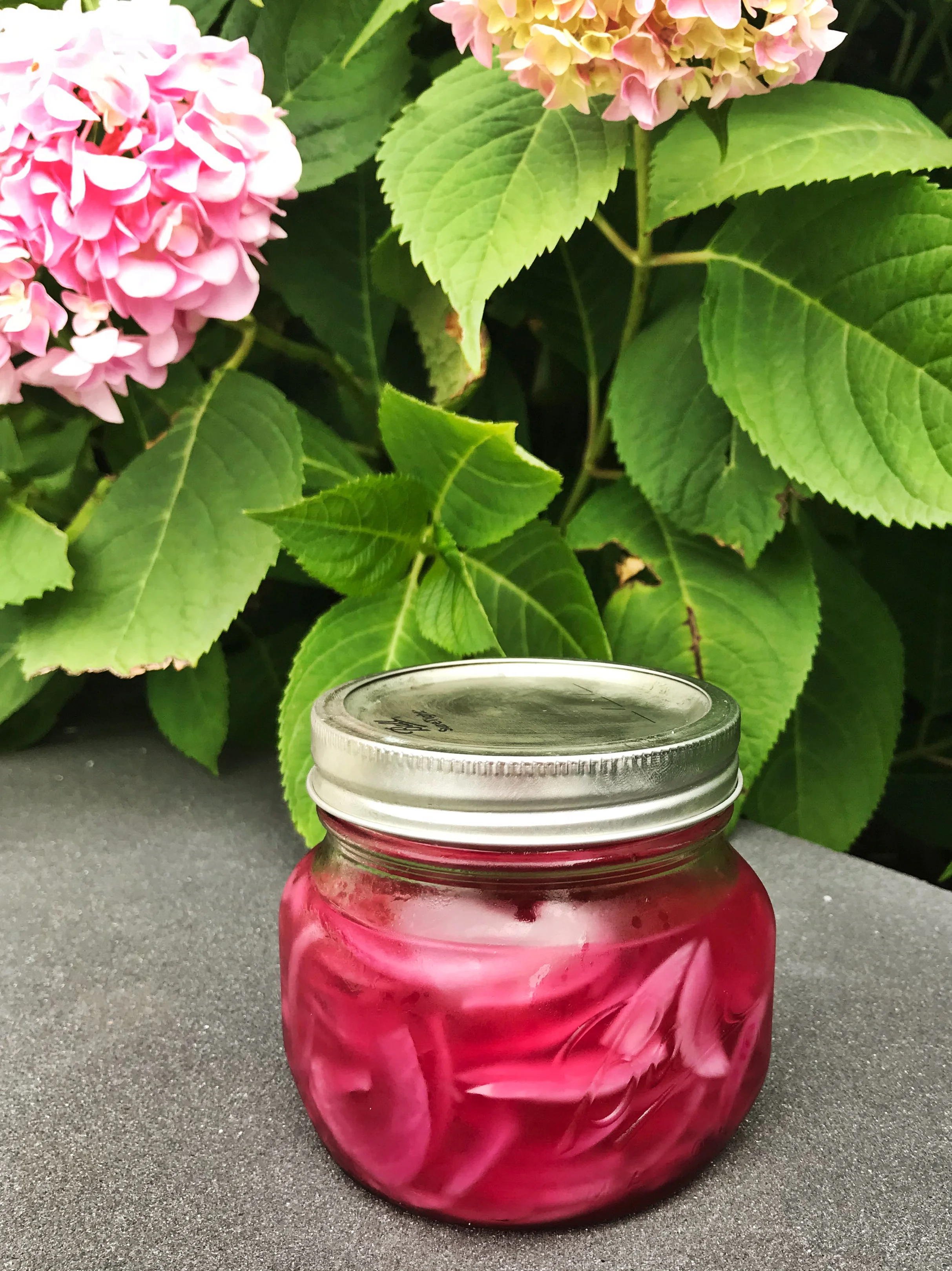 Easiest Pickled Onions