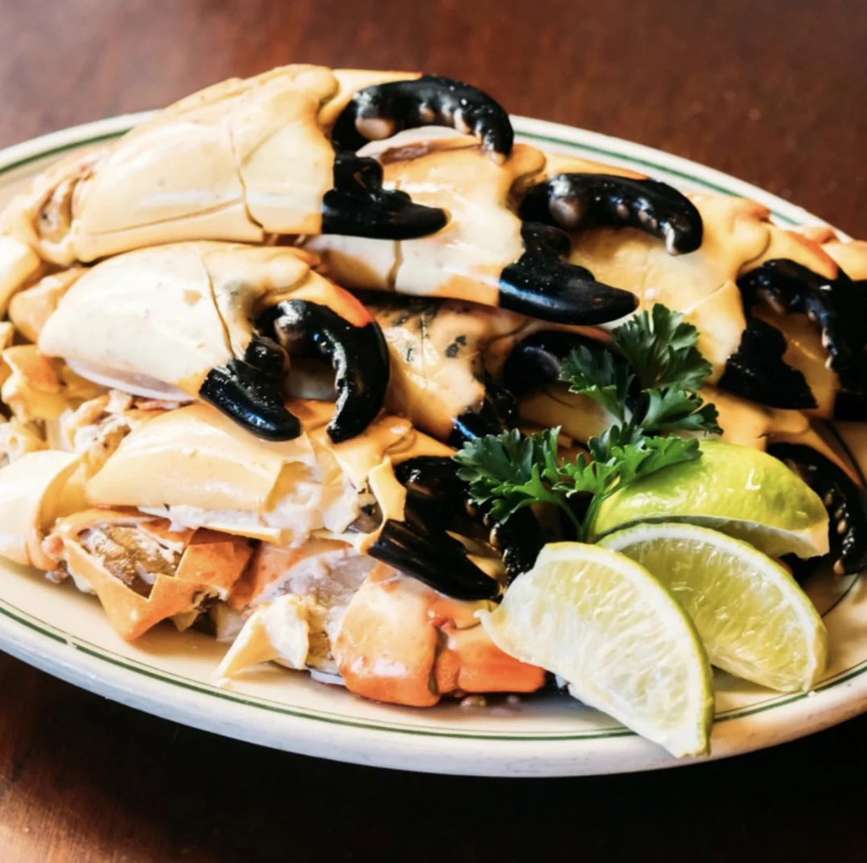 Photo by @joesstonecrab