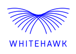White Hawk Logo