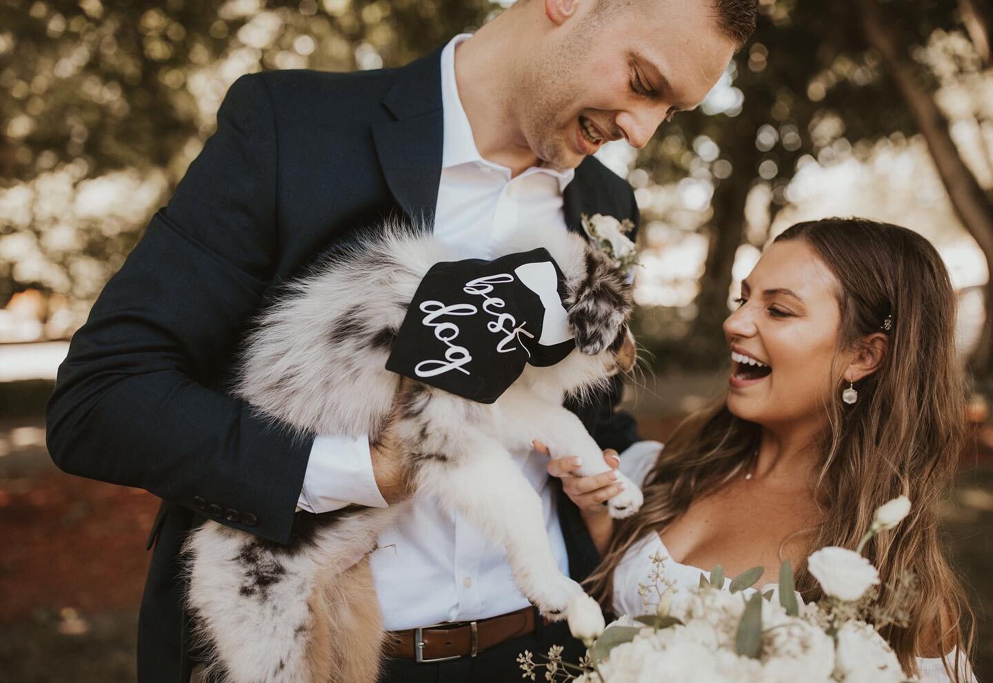 EVERYONE GETTING MARRIED...
-
Please follow Bridget and Jason&rsquo;s lead having your pup as the &ldquo;Best Dog&rdquo;. 😍 Parlor was the cutest addition to their sweet and intimate wedding yesterday at Bridgets parents backyard! He was also the mo