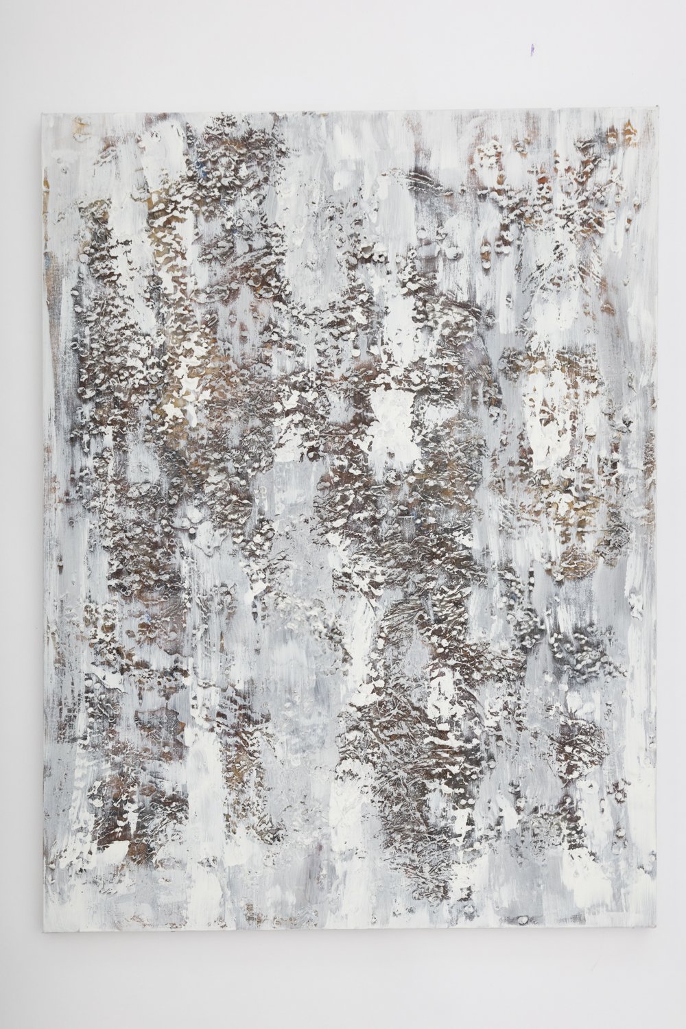 LowenGrub_20240203_0010web - Copy.JPG