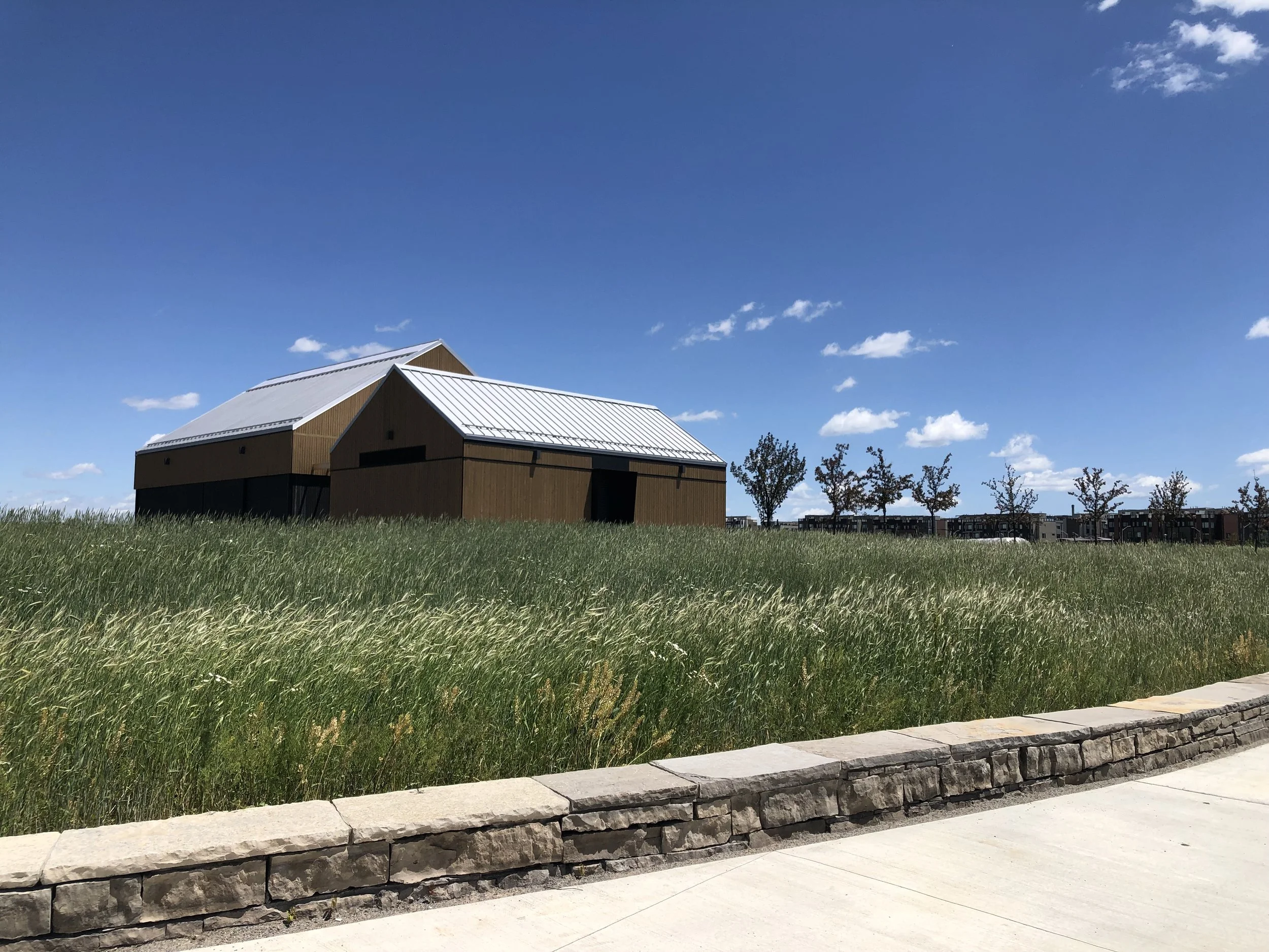 DOWNSVIEW_SITE PHOTO 1.JPG