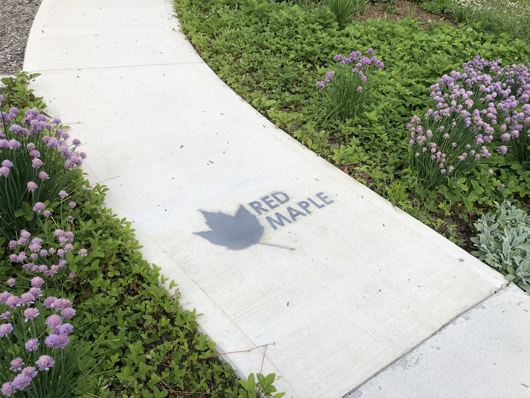 LORNE_SITE PHOTO_15.JPEG