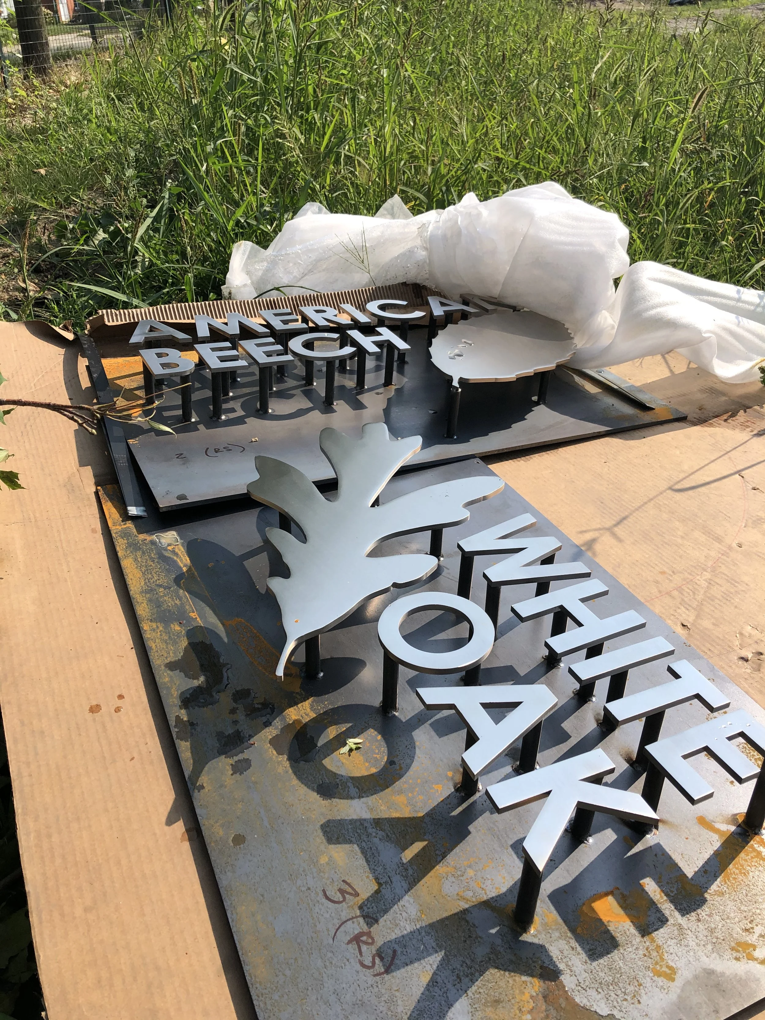 LORNE AVE_Plant IDs.JPG