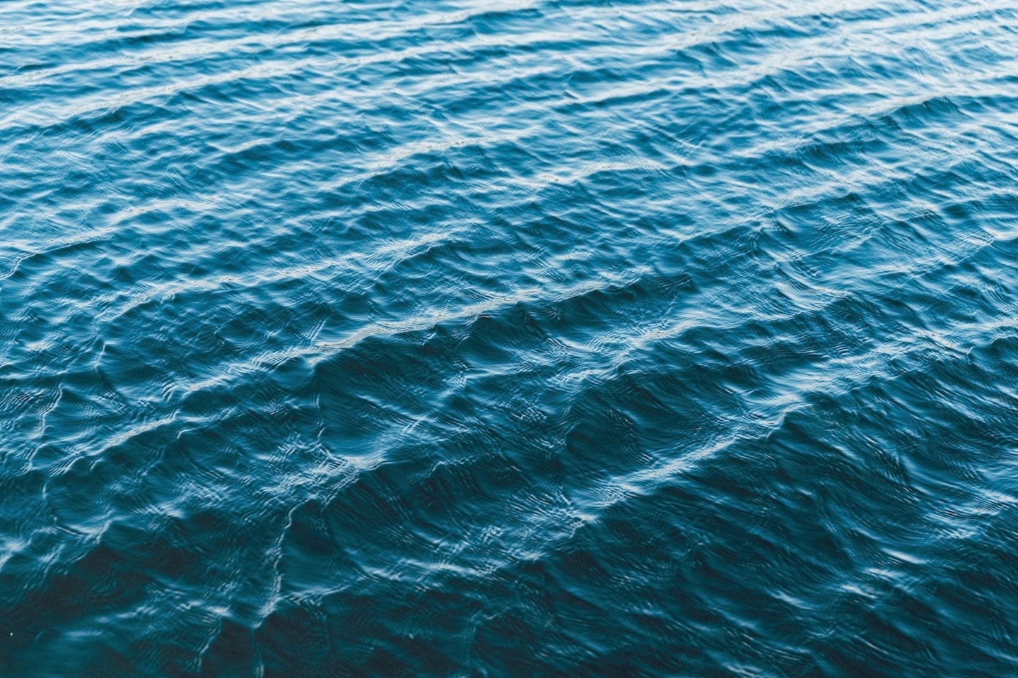 Book Appointment Waves.jpg