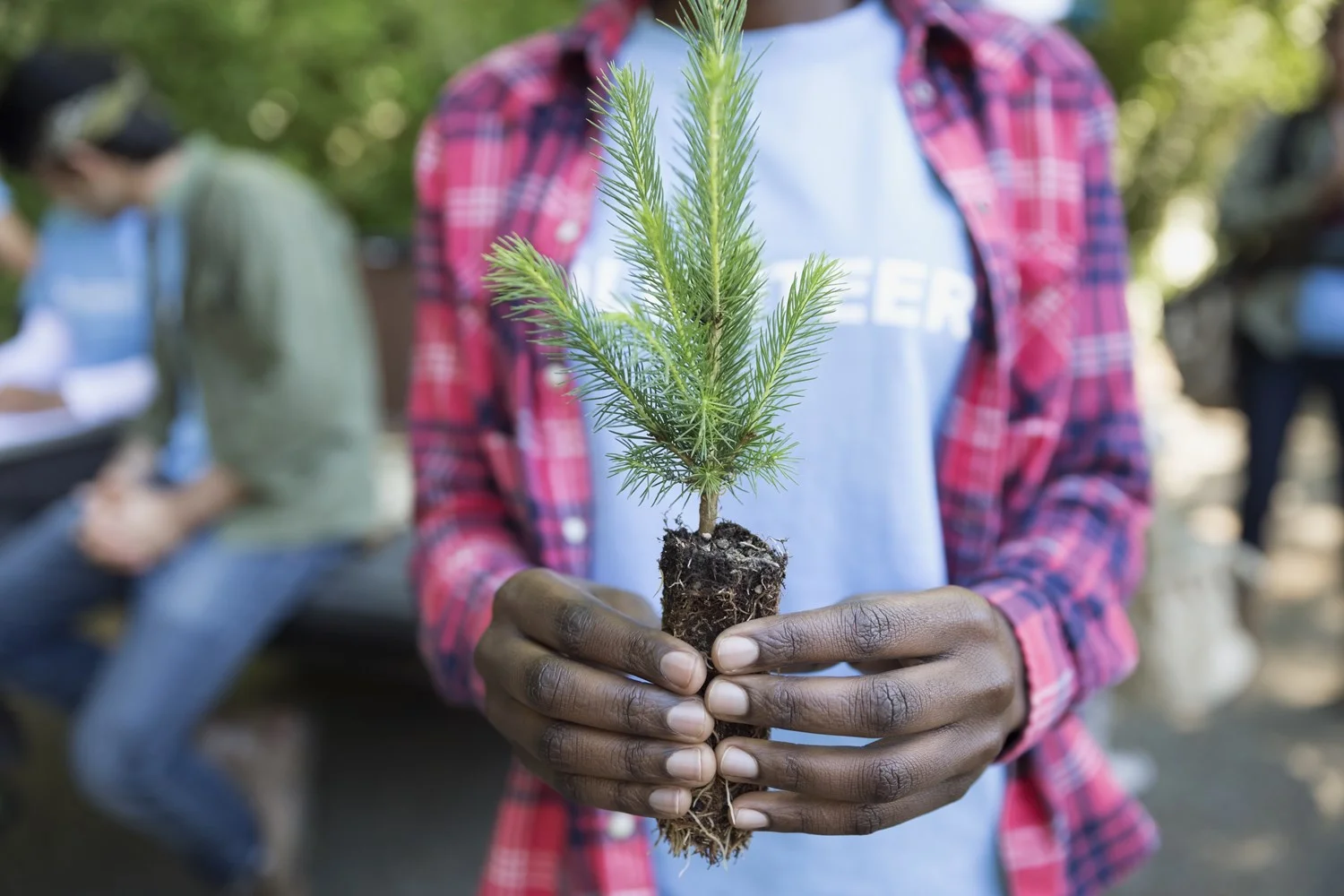 Donation panel img.jpg