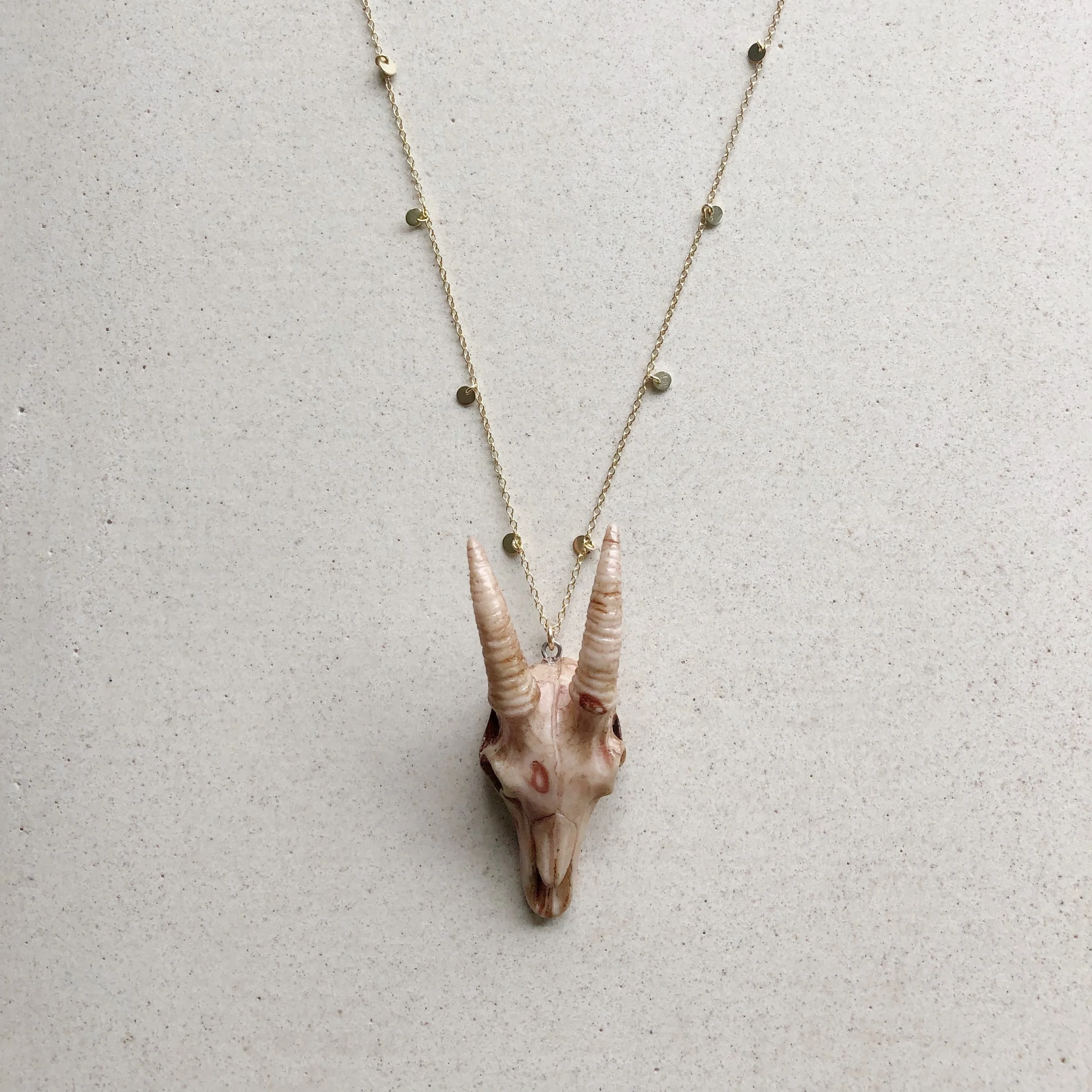 Gazelle Skull with Coins Necklace 