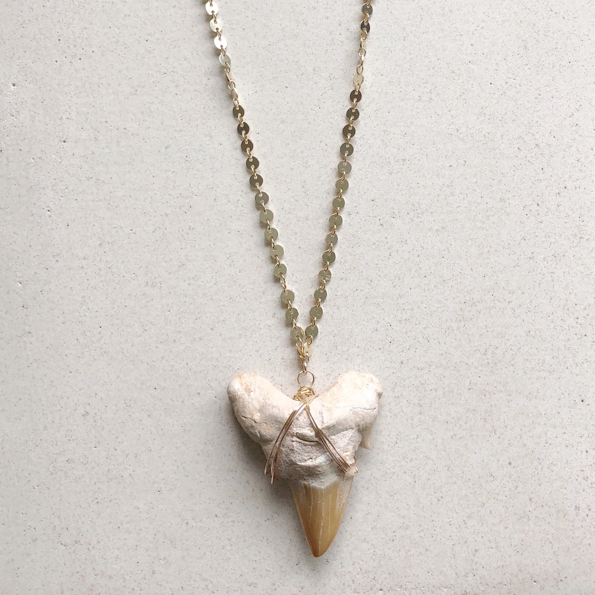 Great White Shark Tooth Large Wired with Leather Long Necklace