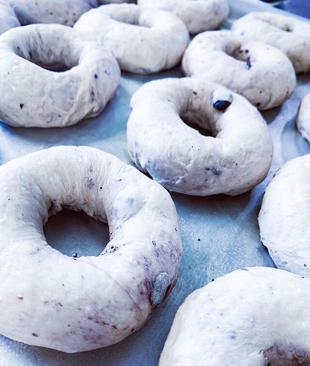 Batch of beautiful blues heading to proof in the fridge, then boil and bake fresh on Friday. Have you tried our NEW blueberry recipe yet? Let us know what you think!! #handcraftedinhomewood #withlove #forourcommunity #and #blueberrybagels #sweetsumme