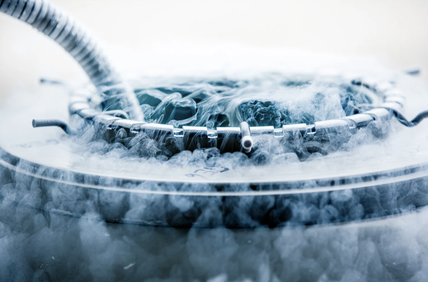 Screenshot 2026-02-24 at 10.42.01 AM.png