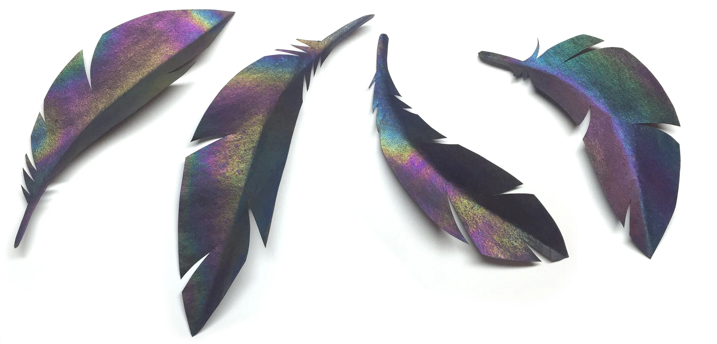 feathers_wide.jpg