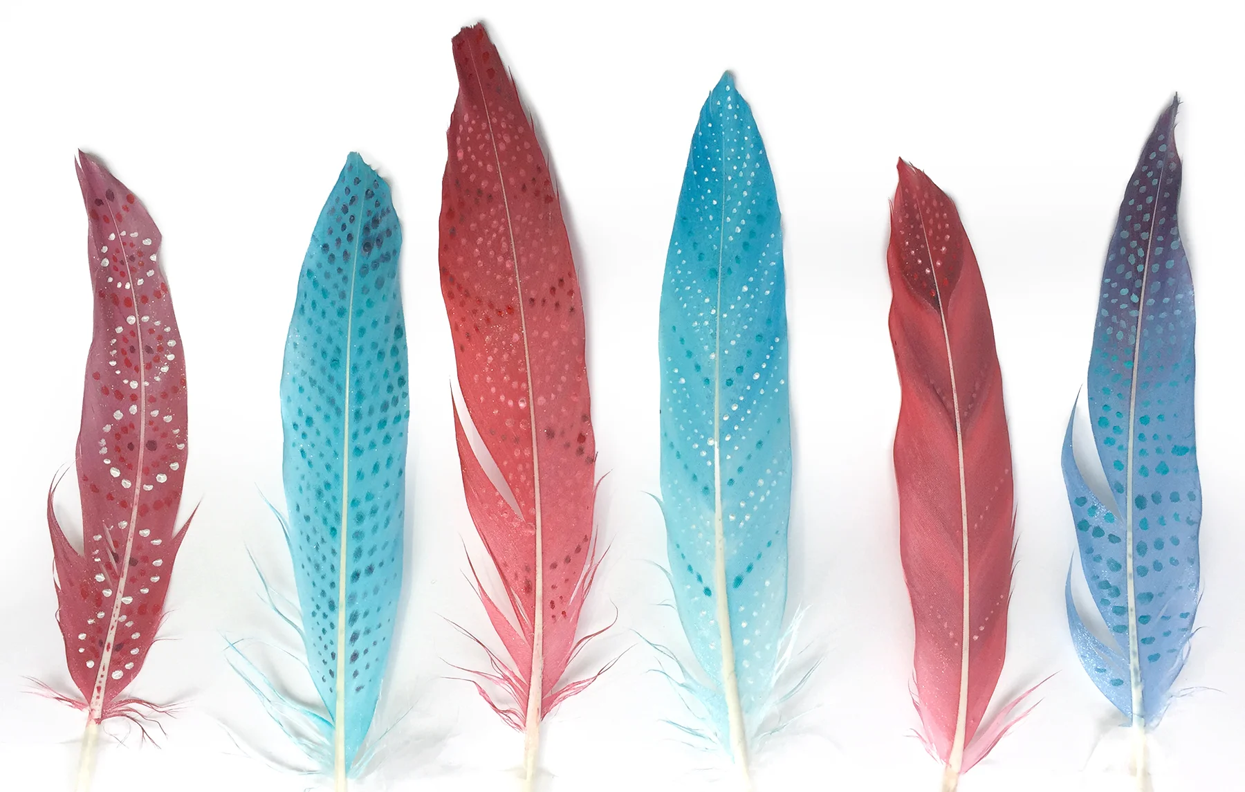 feathers.jpg