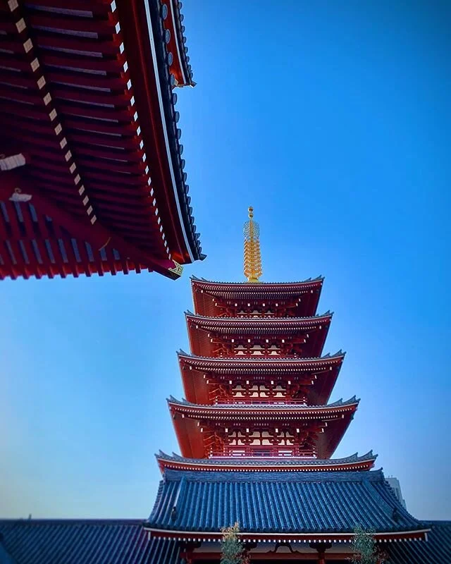 Up we go 🗼
#japantravel #explore #travelphotography #newyear #nara #narapark #bluesky #layered #structure #architecture #details