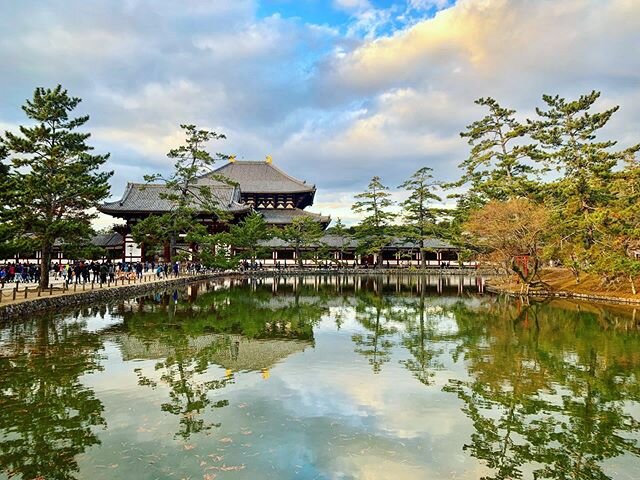 Time to reflect 🌾
#peaceful #escape #reflections #naturewalk #quiettime #winterinjapan #kyoto #japan #nara #narapark #leaves #foliage #newyears #traditions #reflections #temple #todaijitemple #japantravels #explorejapan #japanculture
