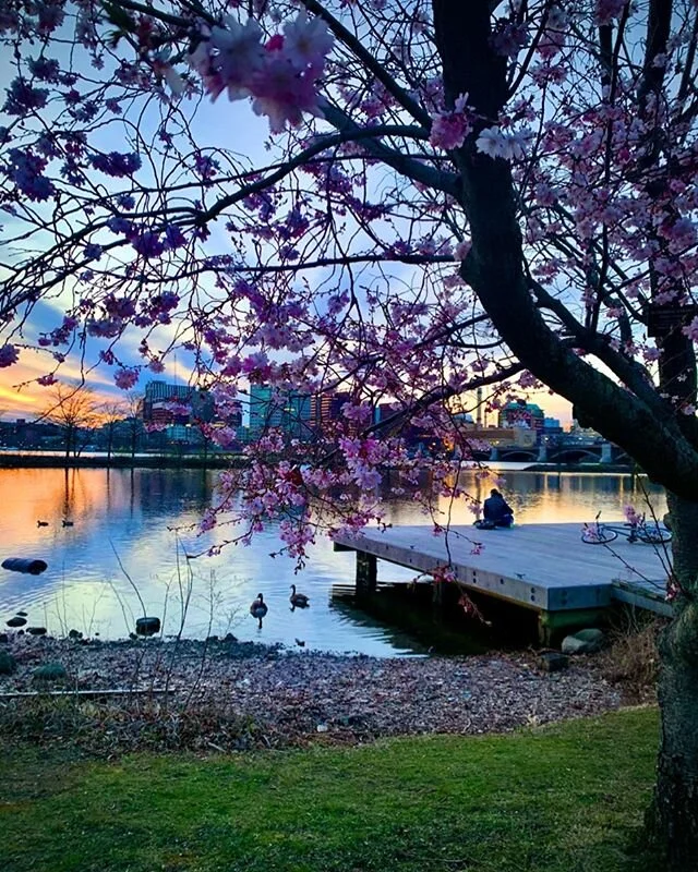 You and me. Forever and always 🌸✨ #sunsets #spring #flowers #bloom #cherryblossom #rainbowsky #love #together #forever #quiettime #reflection #embrace #socialdistancing #nature #beautifulworld #boston #igboston #charlesriver #pictureperfect
