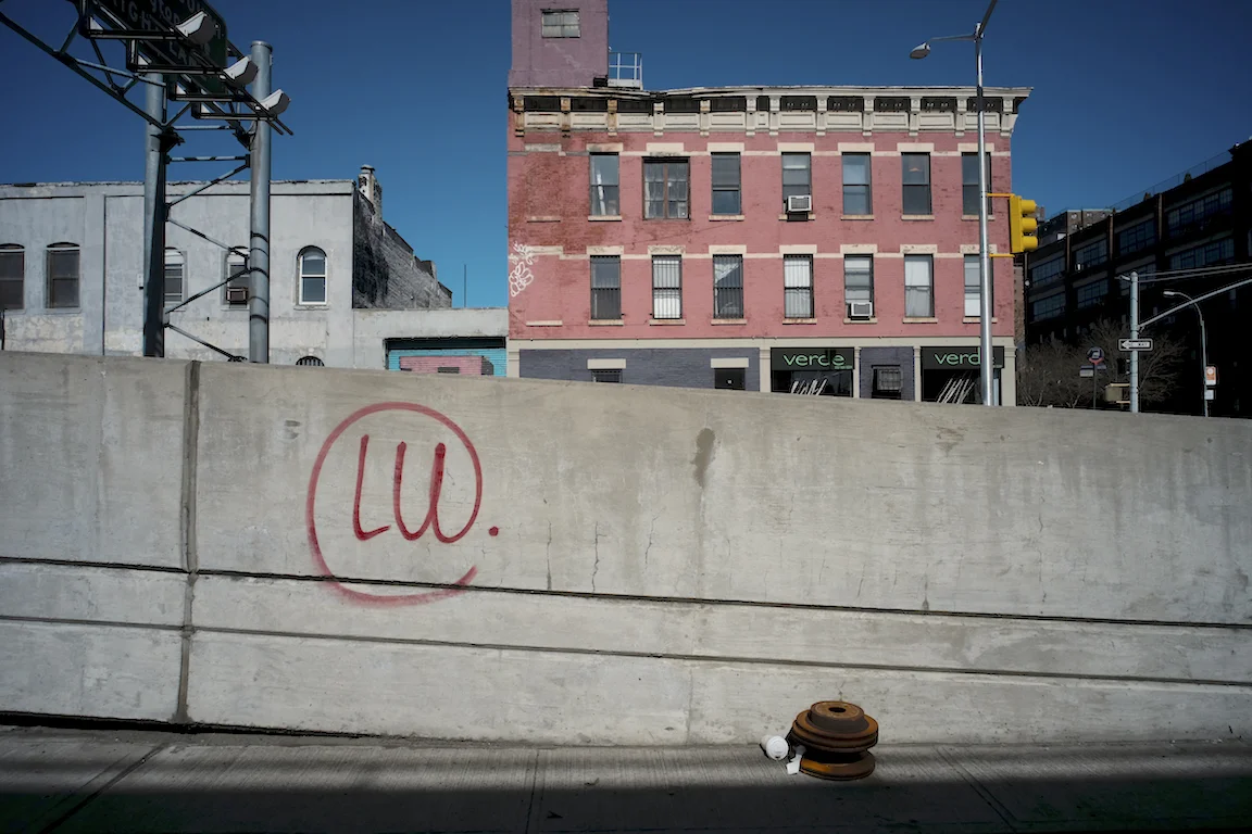 InBronx01.jpg